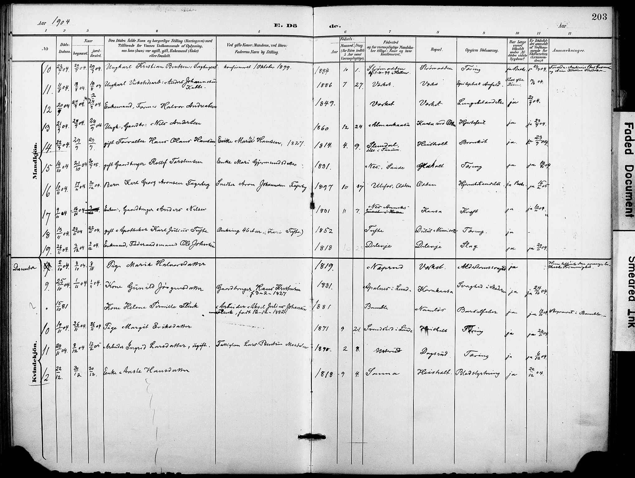 Holla kirkebøker, AV/SAKO-A-272/F/Fa/L0010: Parish register (official) no. 10, 1897-1907, p. 203