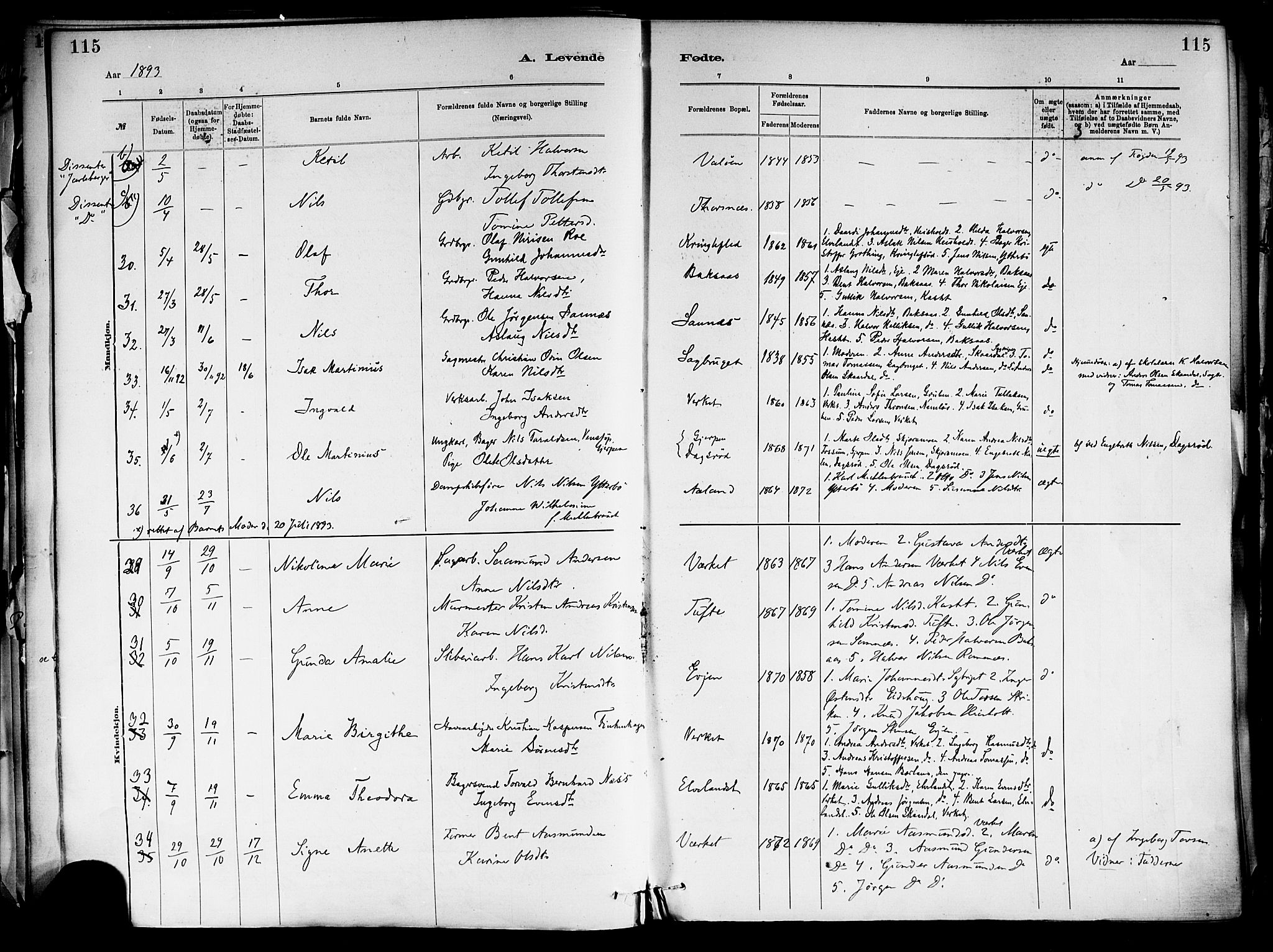 Holla kirkebøker, SAKO/A-272/F/Fa/L0008: Parish register (official) no. 8, 1882-1897, p. 115