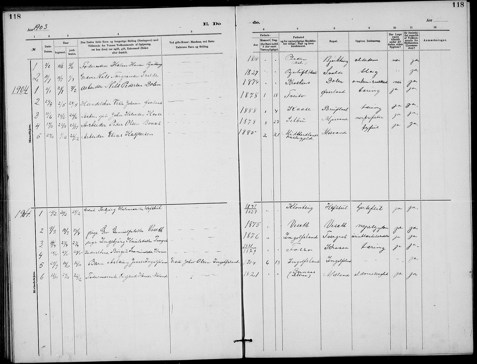 Rjukan kirkebøker, SAKO/A-294/G/Ga/L0001: Parish register (copy) no. 1, 1880-1914, p. 118