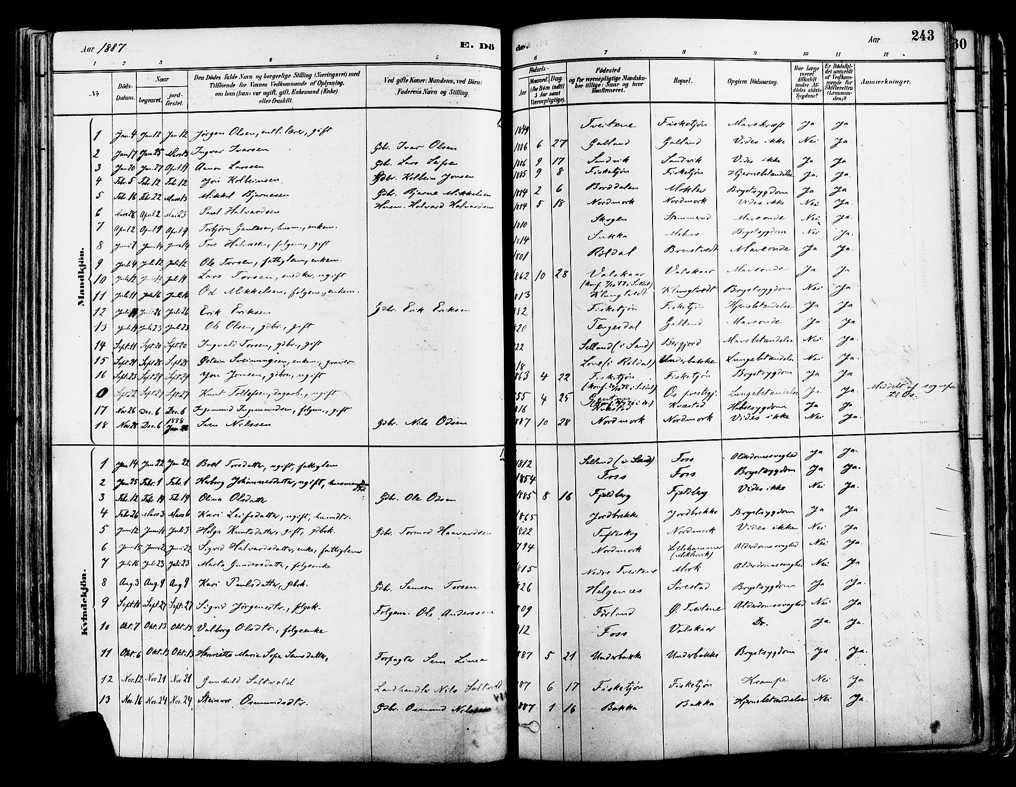 Suldal sokneprestkontor, AV/SAST-A-101845/01/IV/L0011: Parish register (official) no. A 11, 1878-1900, p. 243