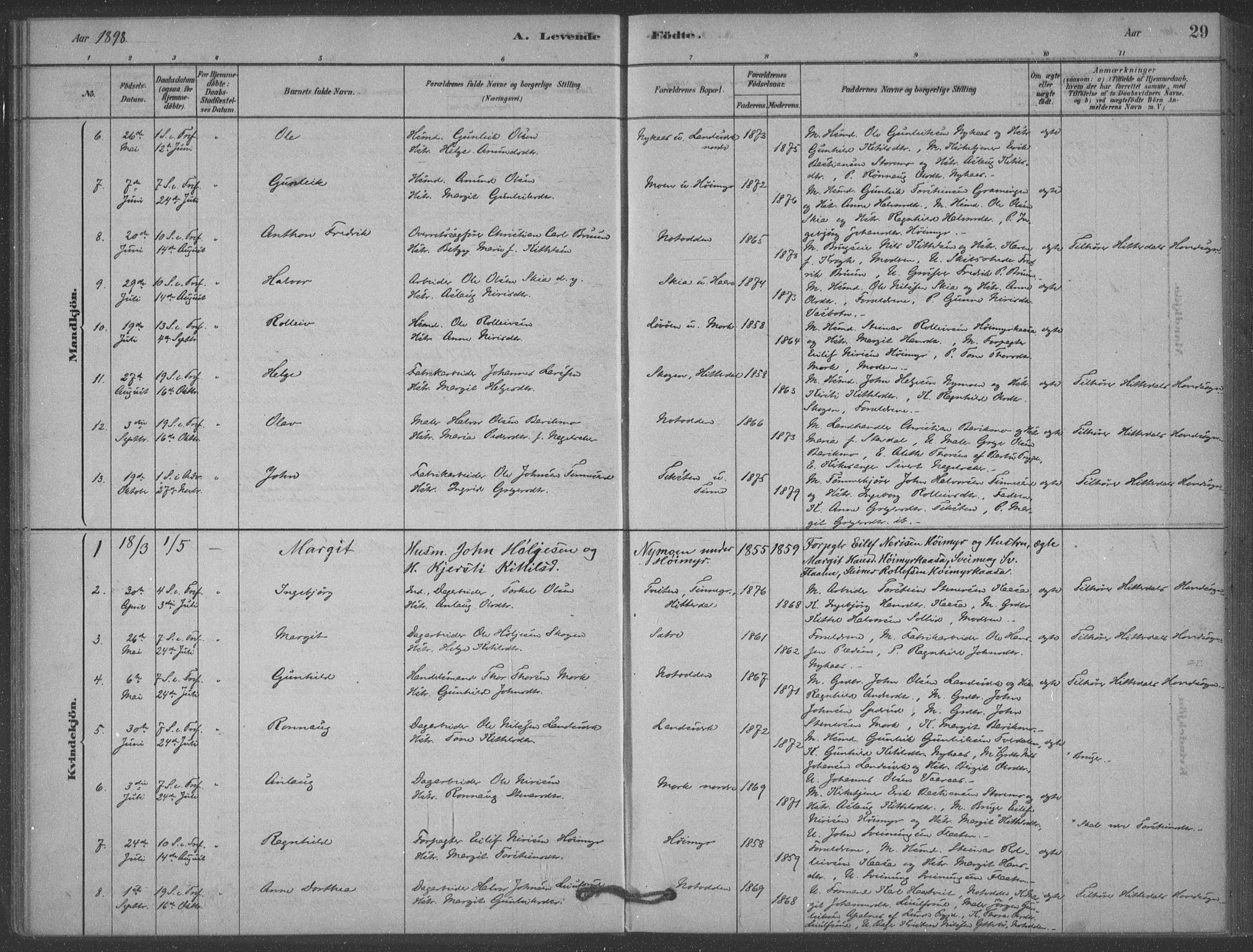 Heddal kirkebøker, AV/SAKO-A-268/F/Fb/L0002: Parish register (official) no. II 2, 1878-1913, p. 29