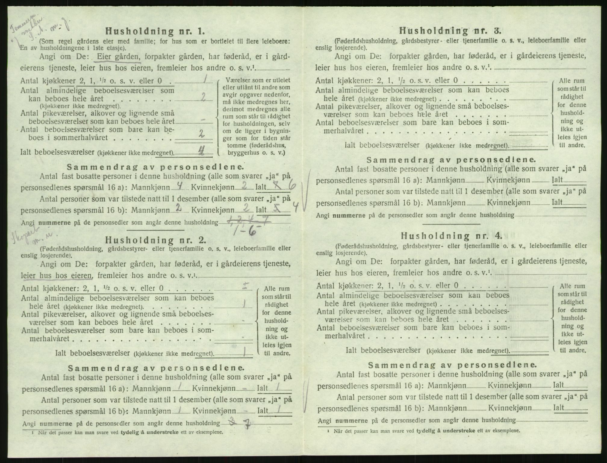 SAK, 1920 census for Hornnes, 1920, p. 466