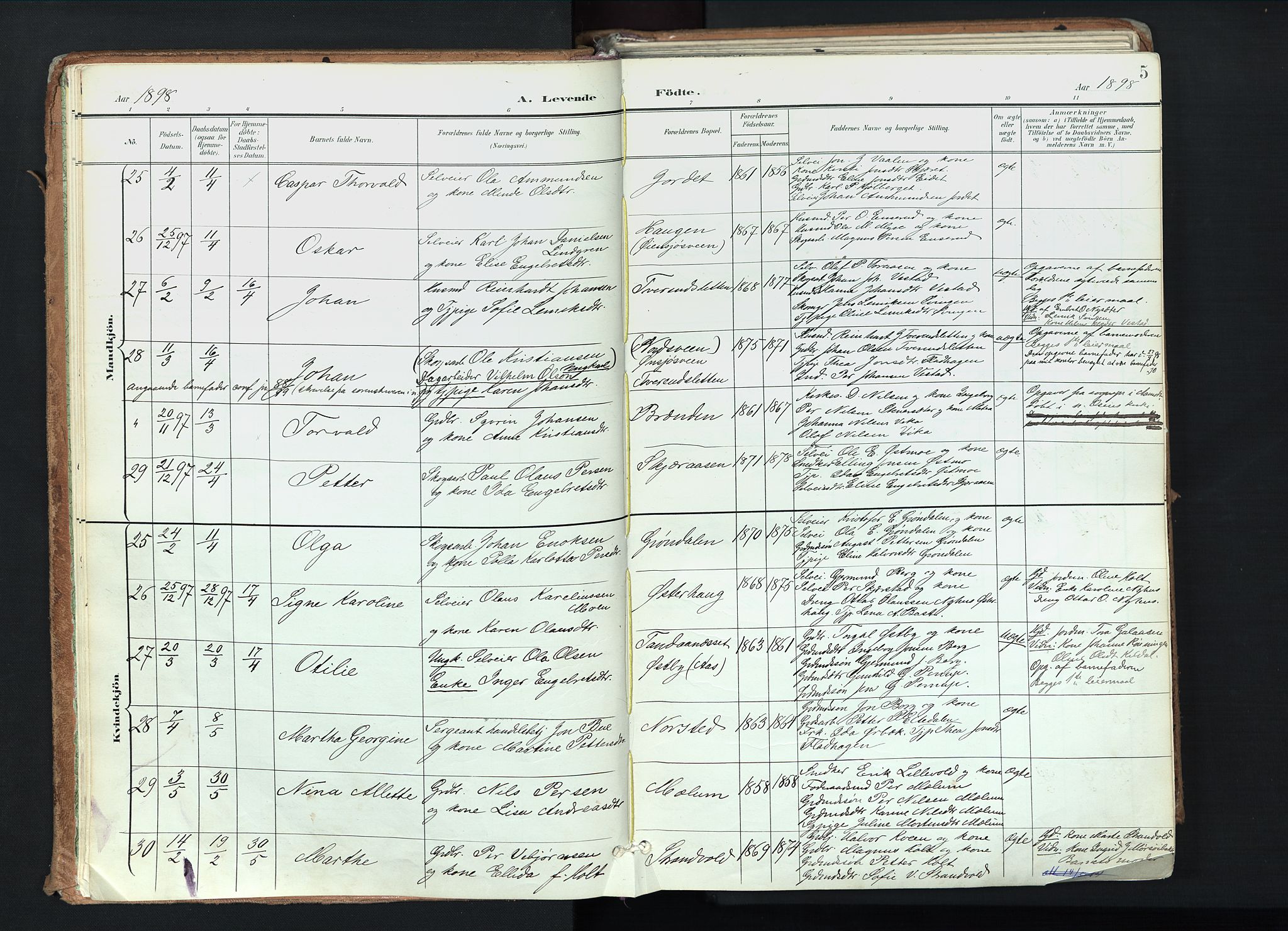 Trysil prestekontor, AV/SAH-PREST-046/H/Ha/Haa/L0012: Parish register (official) no. 12, 1898-1917, p. 5