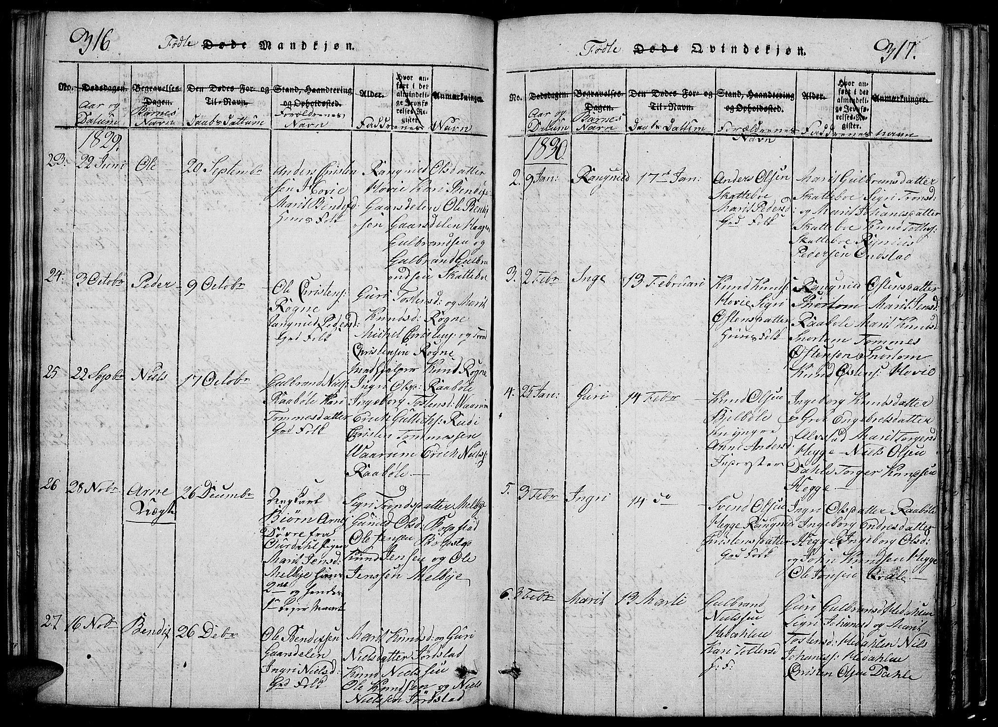 Slidre prestekontor, SAH/PREST-134/H/Ha/Hab/L0002: Parish register (copy) no. 2, 1814-1839, p. 316-317