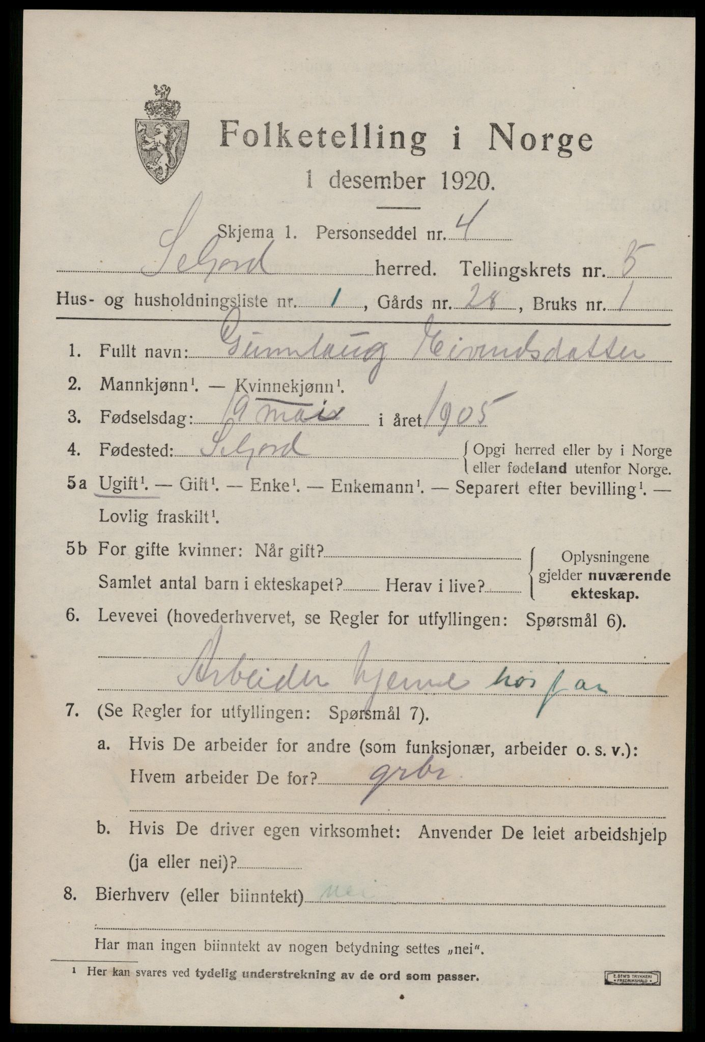 SAKO, 1920 census for Seljord, 1920, p. 2382