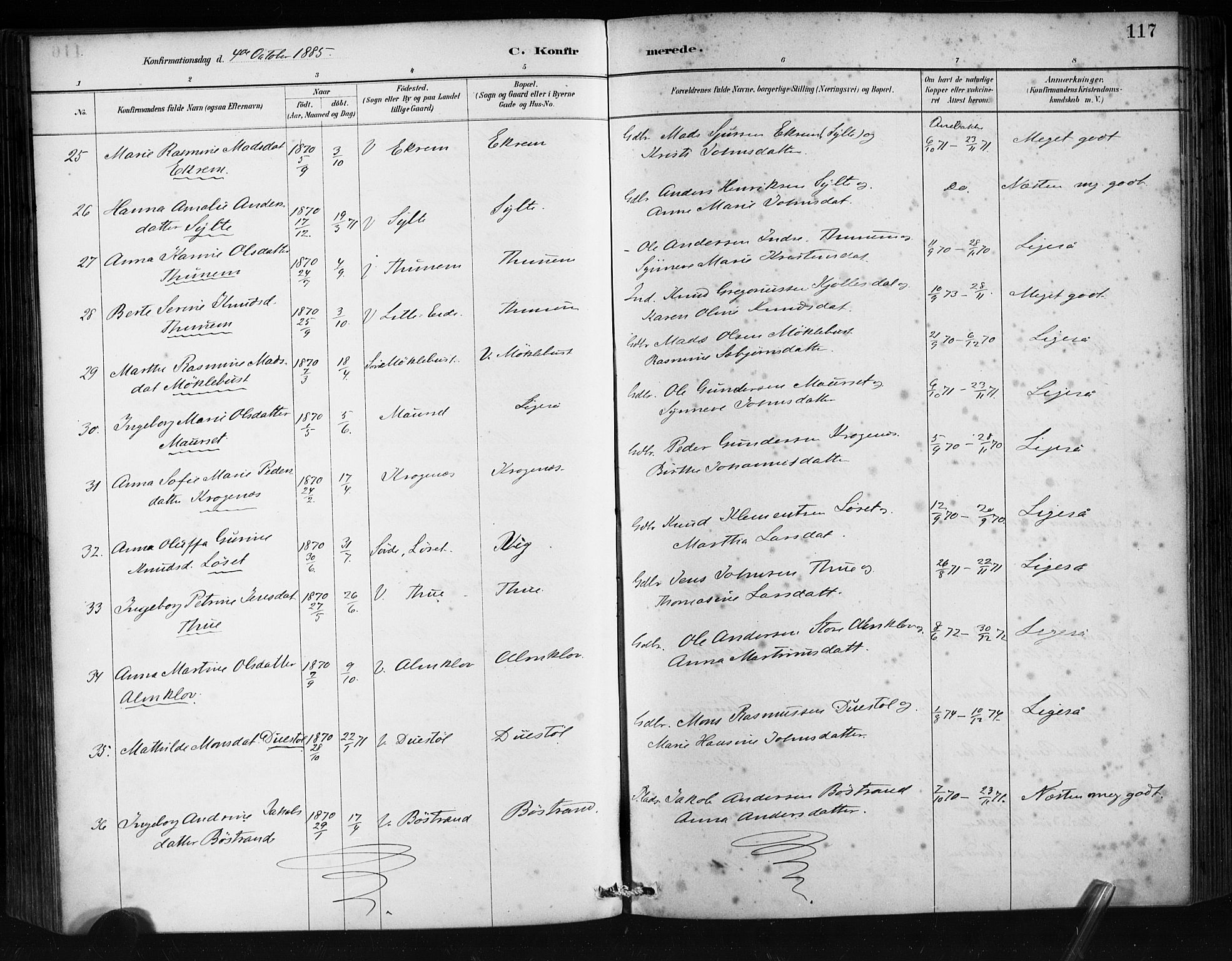 Ministerialprotokoller, klokkerbøker og fødselsregistre - Møre og Romsdal, AV/SAT-A-1454/501/L0008: Parish register (official) no. 501A08, 1885-1901, p. 117