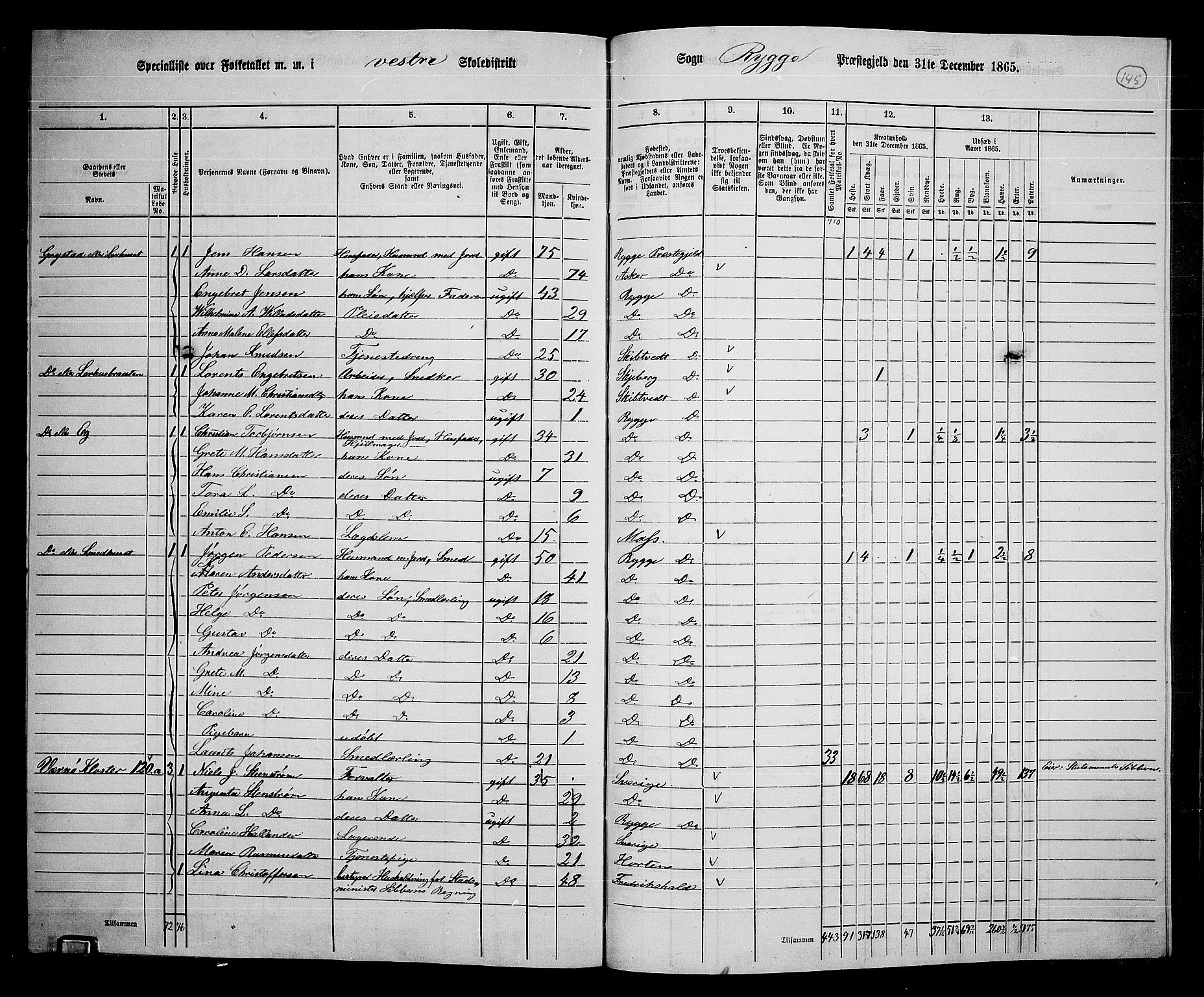 RA, 1865 census for Rygge, 1865, p. 87