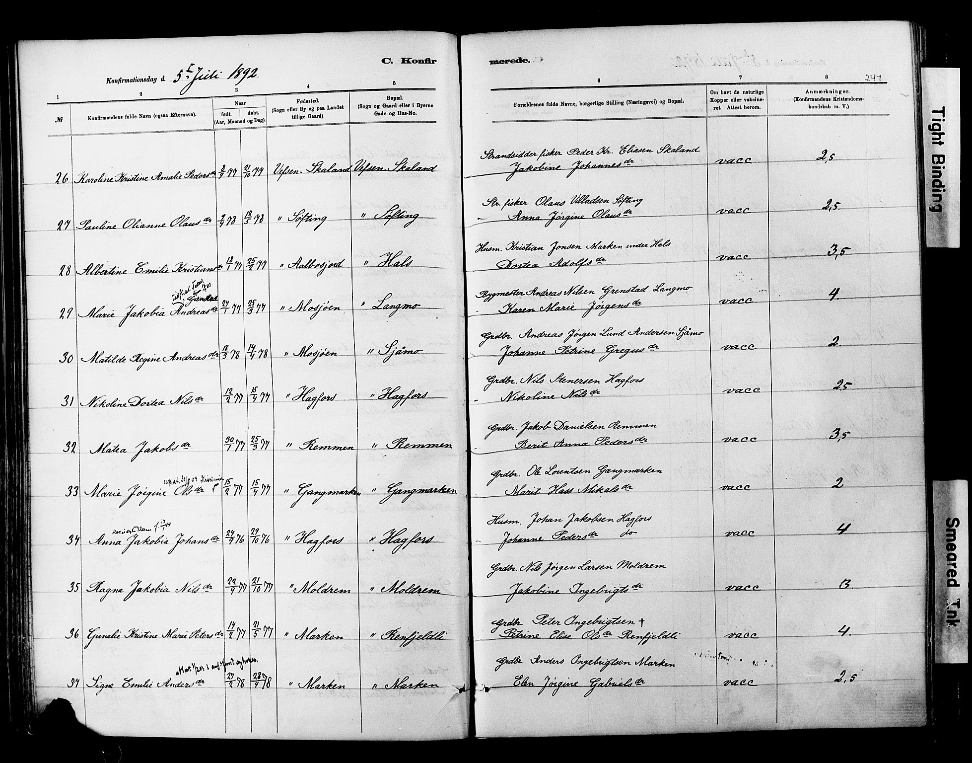 Ministerialprotokoller, klokkerbøker og fødselsregistre - Nordland, AV/SAT-A-1459/820/L0295: Parish register (official) no. 820A16, 1880-1896, p. 241