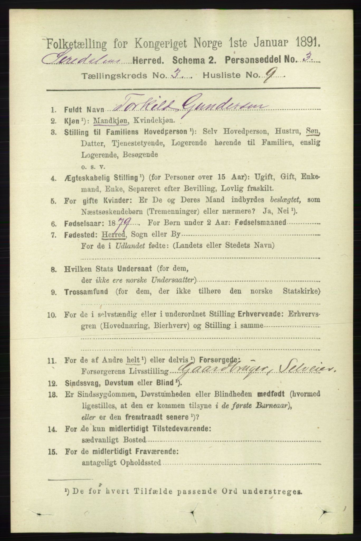 RA, 1891 census for 1046 Sirdal, 1891, p. 718