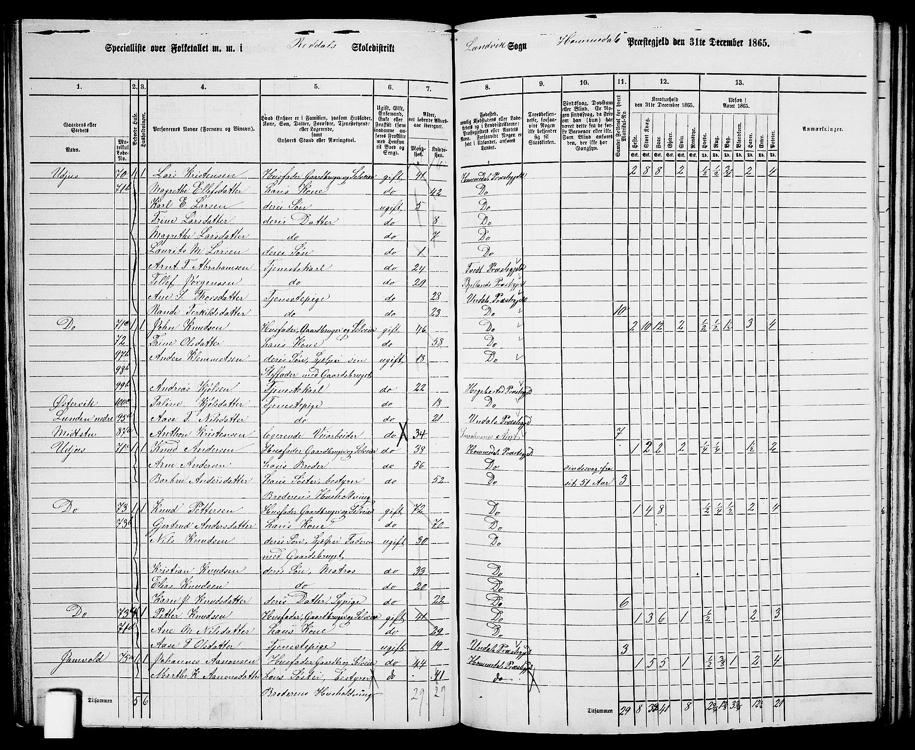 RA, 1865 census for Homedal, 1865, p. 100