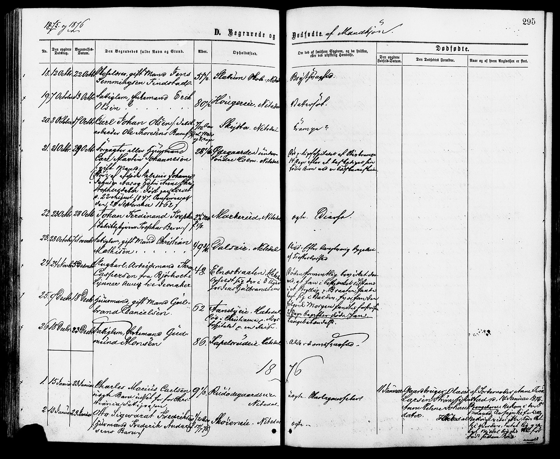 Nittedal prestekontor Kirkebøker, AV/SAO-A-10365a/F/Fa/L0006: Parish register (official) no. I 6, 1863-1878, p. 295