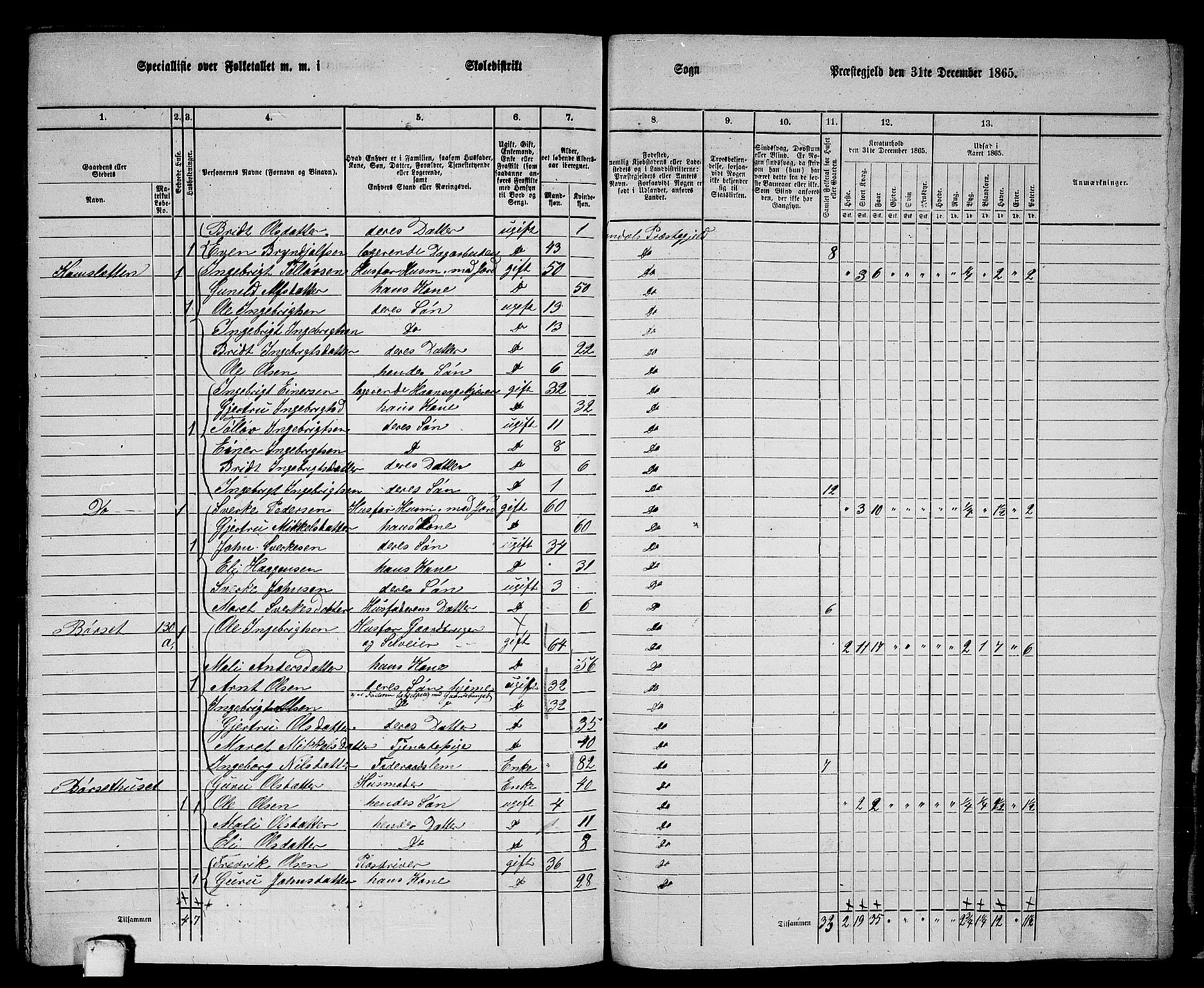 RA, 1865 census for Rindal, 1865, p. 100