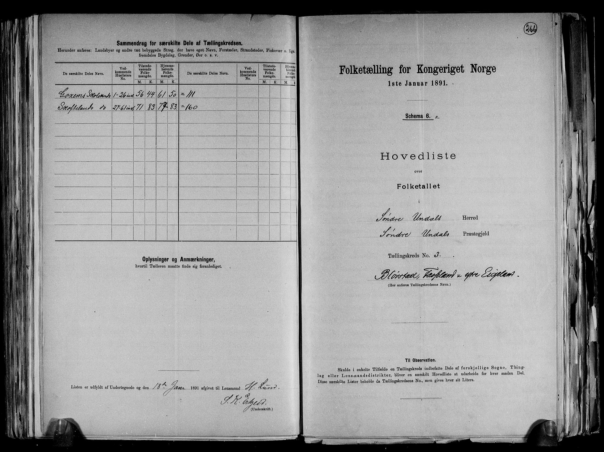 RA, 1891 census for 1029 Sør-Audnedal, 1891, p. 12