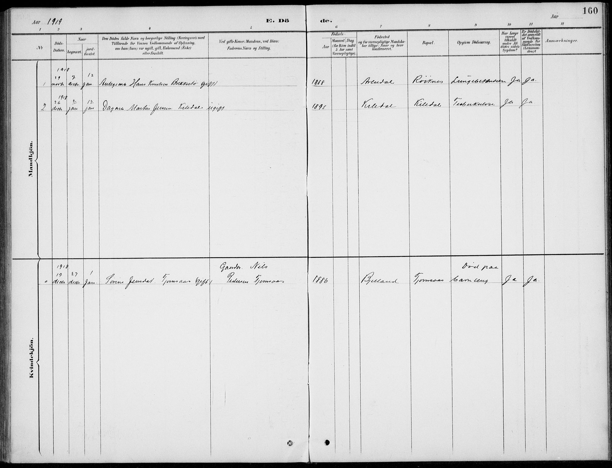 Vennesla sokneprestkontor, AV/SAK-1111-0045/Fb/Fba/L0003: Parish register (copy) no. B 3, 1890-1919, p. 160