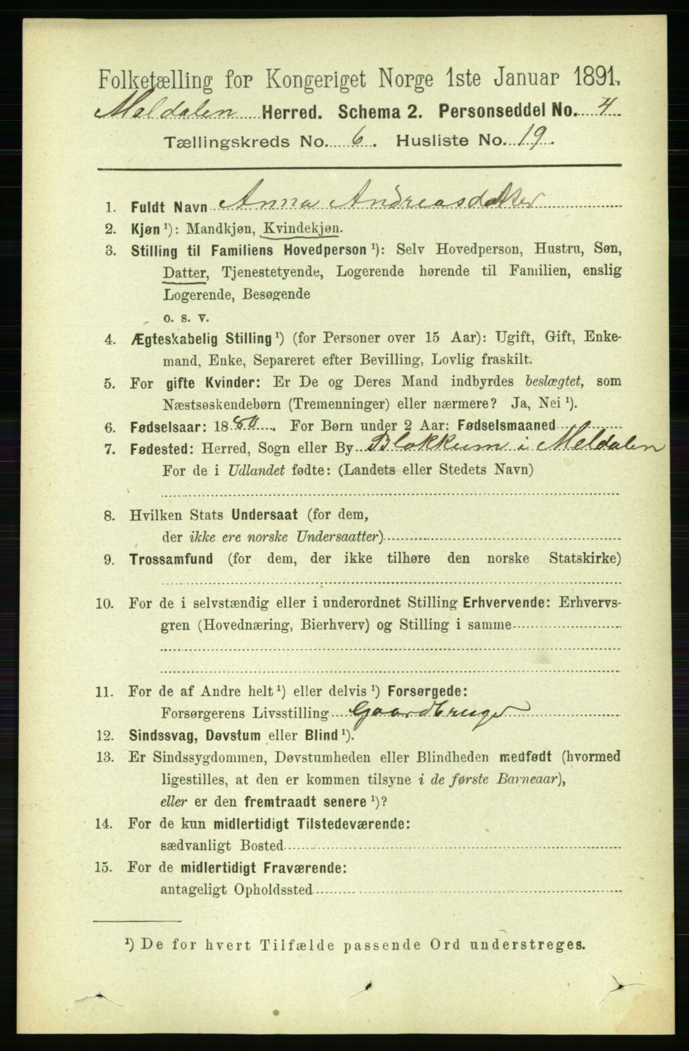 RA, 1891 census for 1636 Meldal, 1891, p. 2989