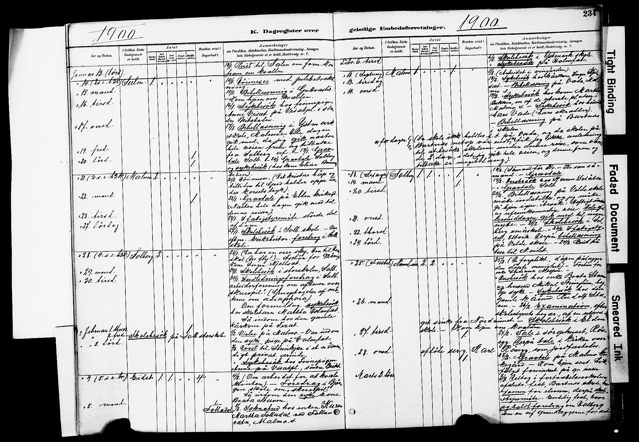 Ministerialprotokoller, klokkerbøker og fødselsregistre - Nord-Trøndelag, AV/SAT-A-1458/741/L0396: Parish register (official) no. 741A10, 1889-1901, p. 234