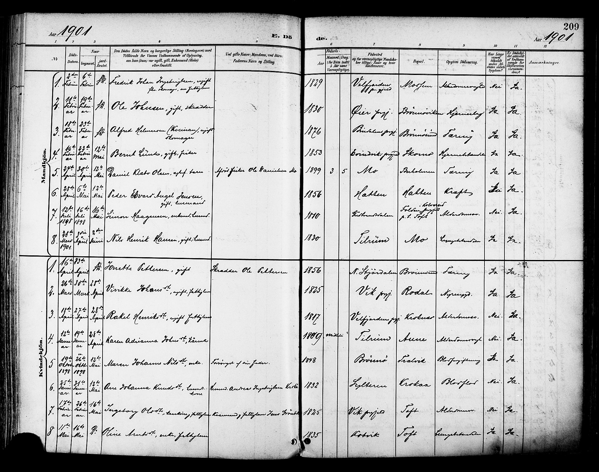 Ministerialprotokoller, klokkerbøker og fødselsregistre - Nordland, SAT/A-1459/813/L0201: Parish register (official) no. 813A11, 1901-1918, p. 209