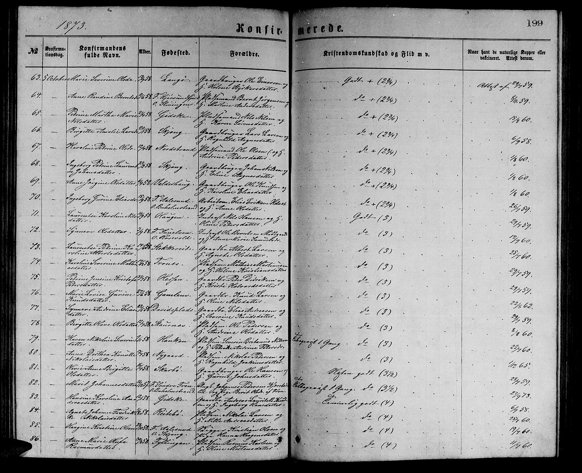 Ministerialprotokoller, klokkerbøker og fødselsregistre - Møre og Romsdal, AV/SAT-A-1454/528/L0429: Parish register (copy) no. 528C10, 1872-1886, p. 199