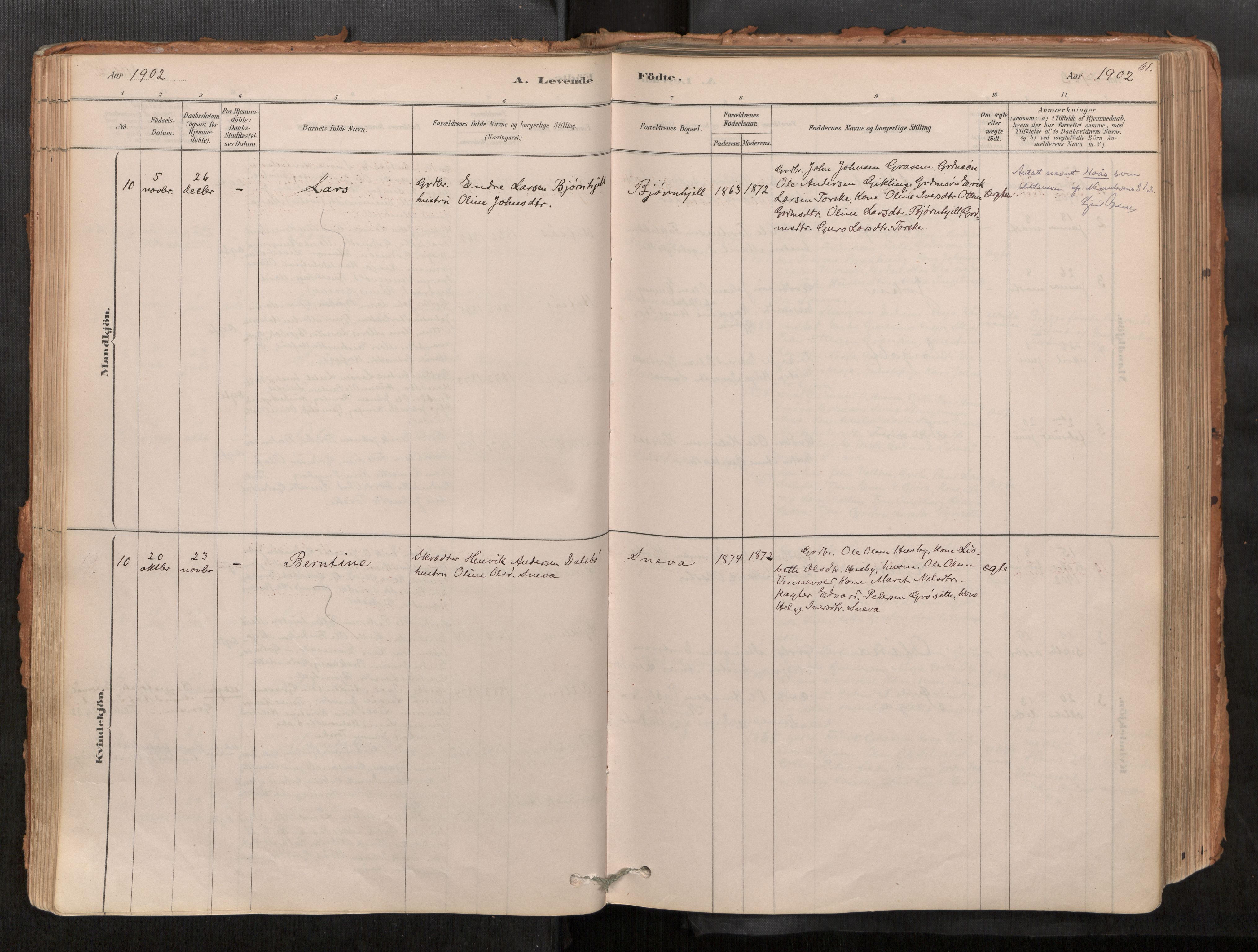 Sunndal sokneprestkontor, AV/SAT-A-1085/1/I/I1/I1a/L0001: Parish register (official) no. 1, 1877-1914, p. 61