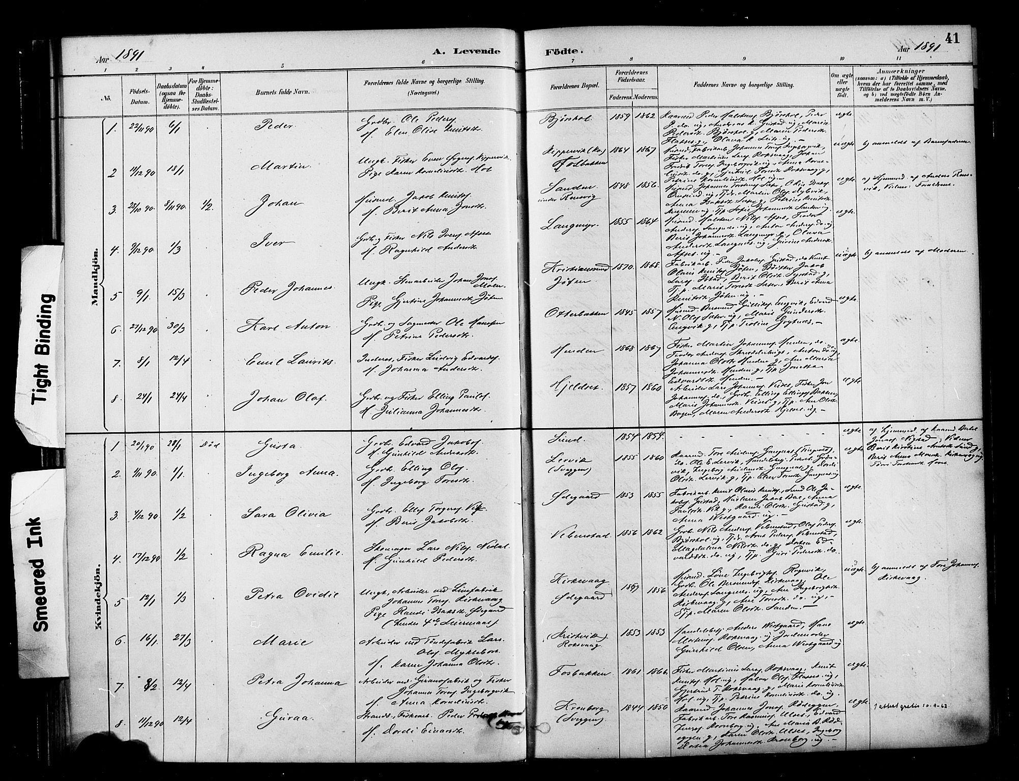 Ministerialprotokoller, klokkerbøker og fødselsregistre - Møre og Romsdal, SAT/A-1454/569/L0819: Parish register (official) no. 569A05, 1885-1899, p. 41