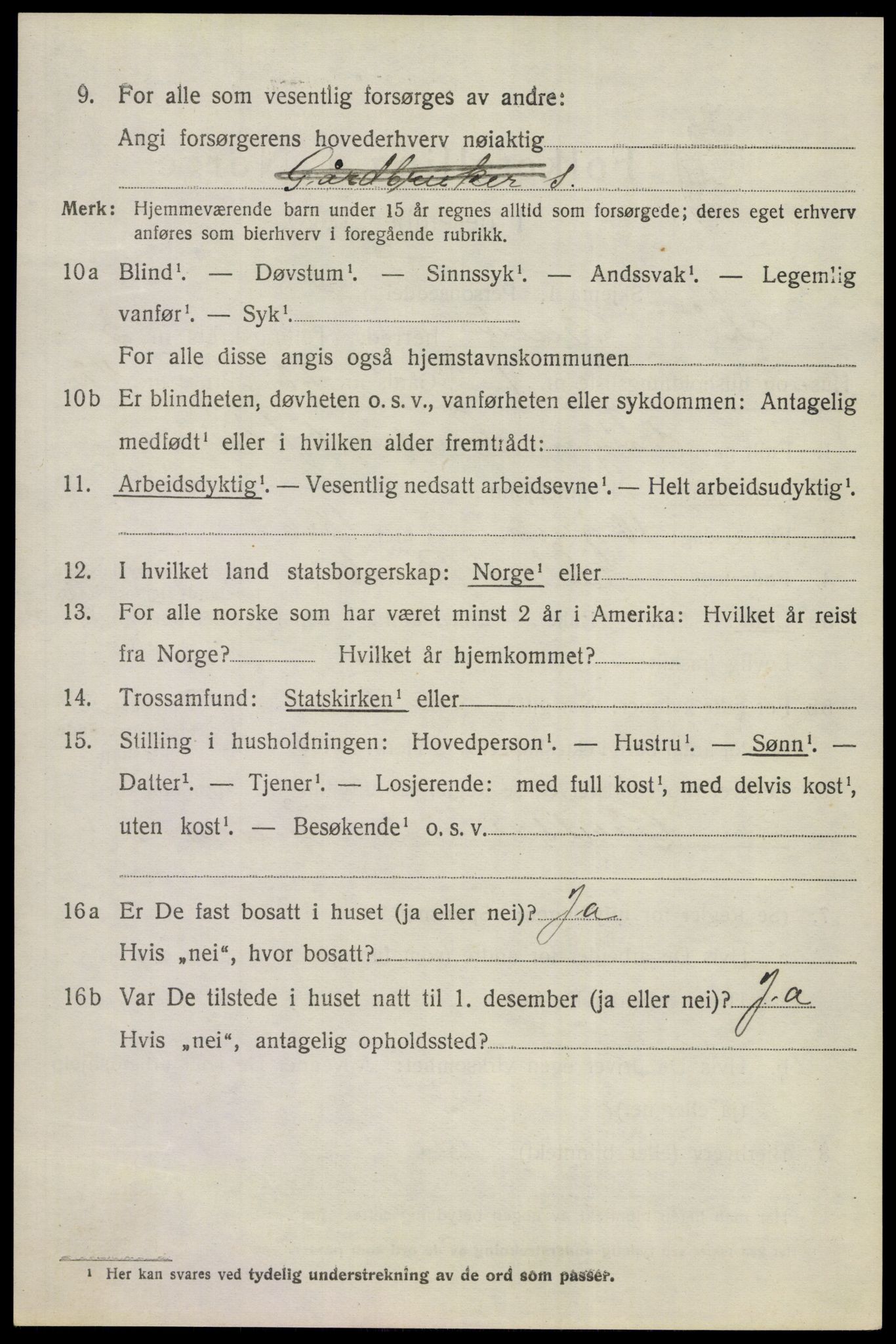 SAKO, 1920 census for Ål, 1920, p. 2381