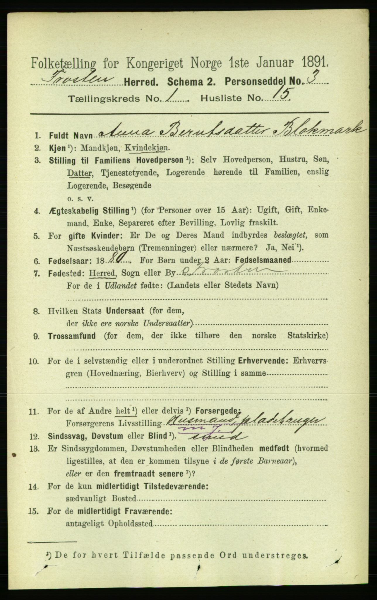 RA, 1891 census for 1717 Frosta, 1891, p. 245