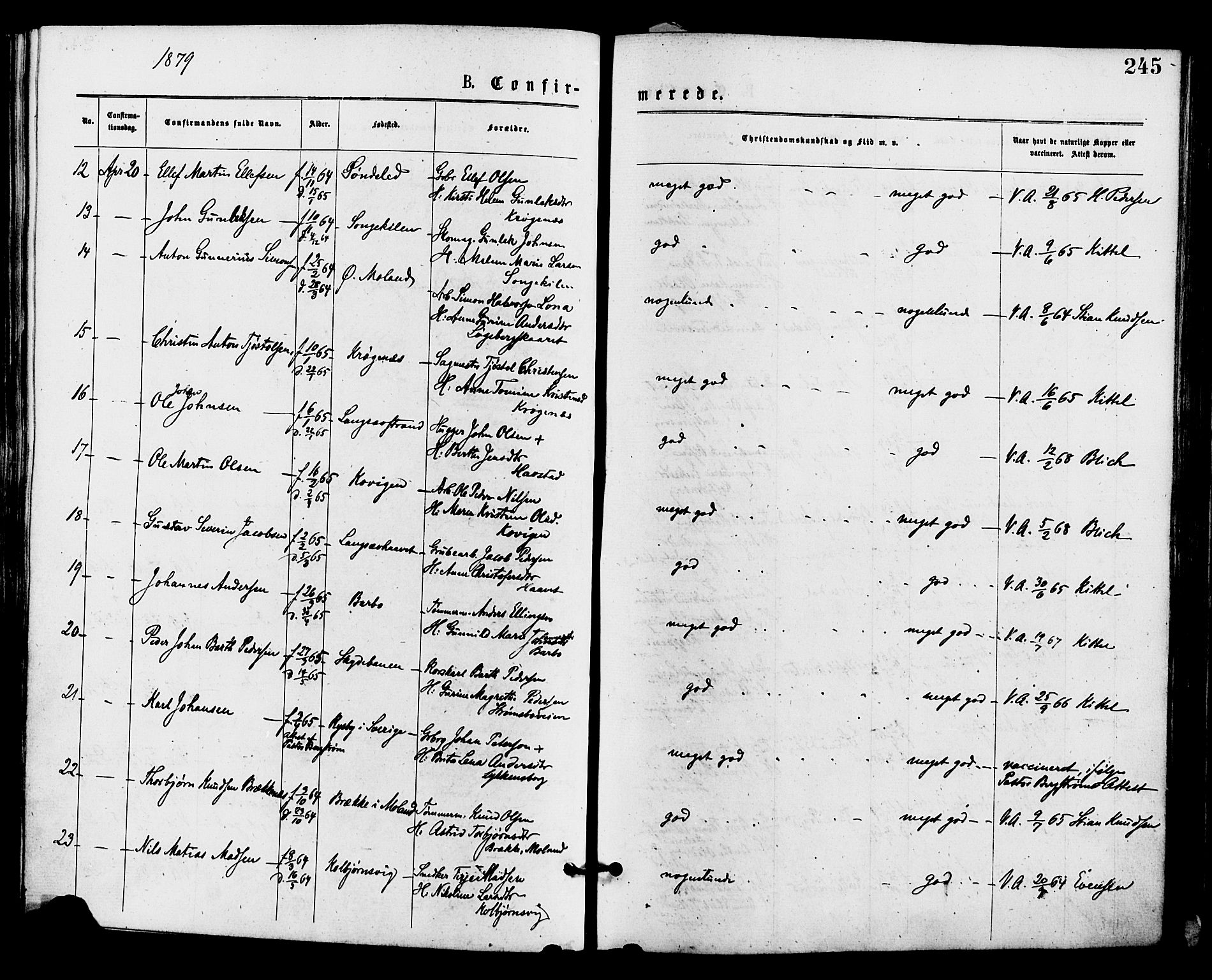 Barbu sokneprestkontor, AV/SAK-1111-0003/F/Fa/L0001: Parish register (official) no. A 1 /1, 1878-1883, p. 245