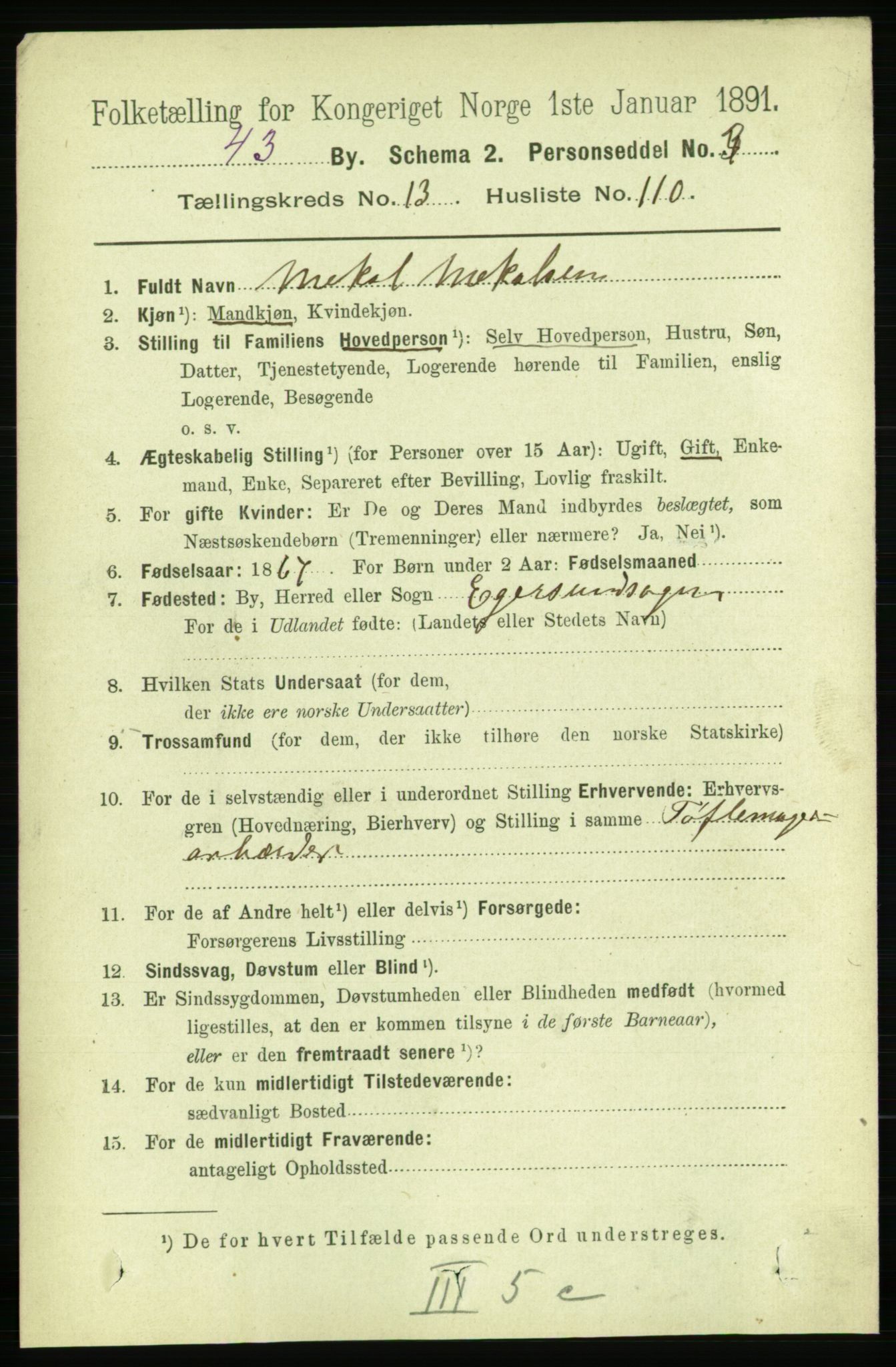 RA, 1891 census for 1103 Stavanger, 1891, p. 16928