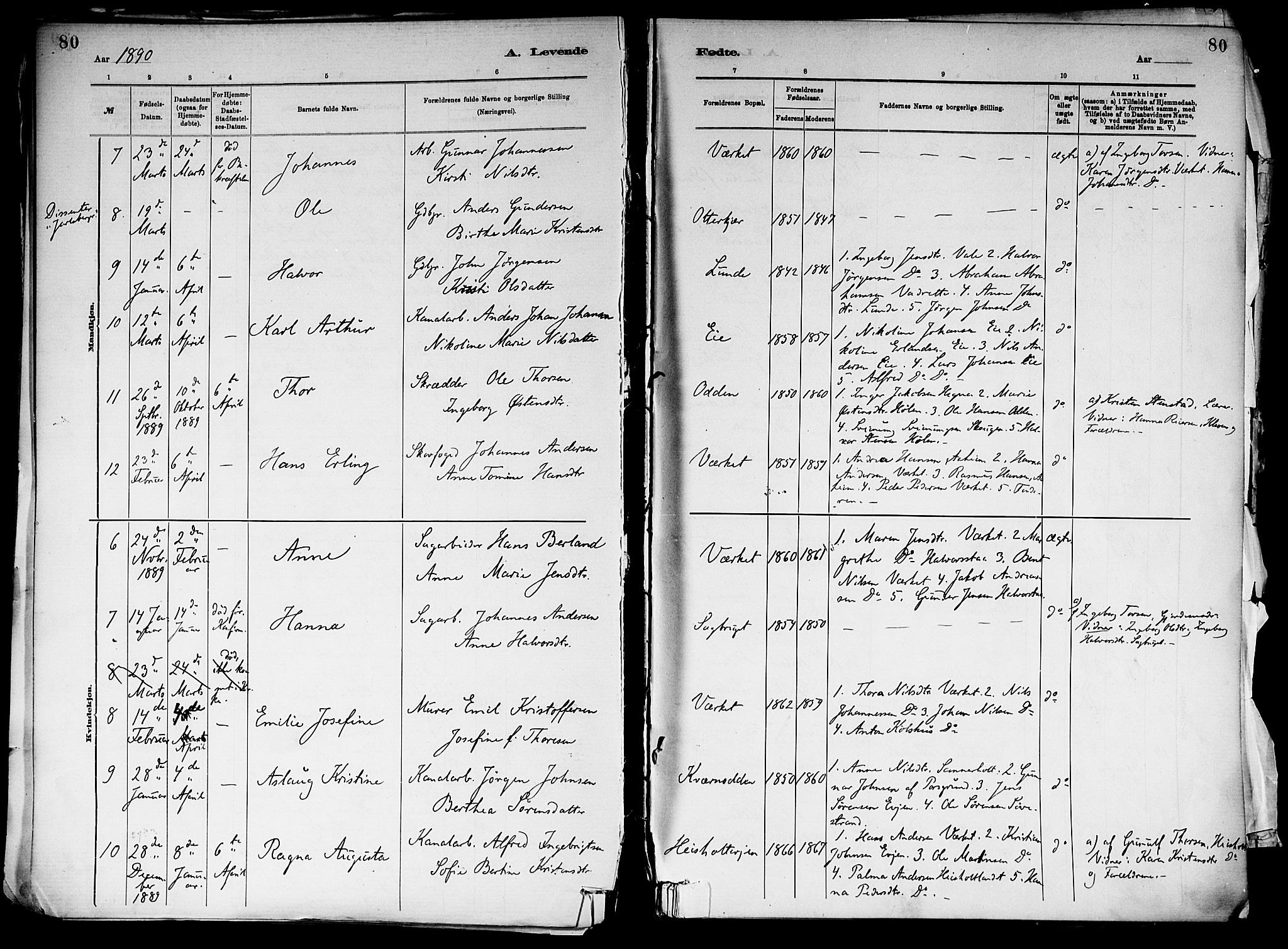 Holla kirkebøker, SAKO/A-272/F/Fa/L0008: Parish register (official) no. 8, 1882-1897, p. 80