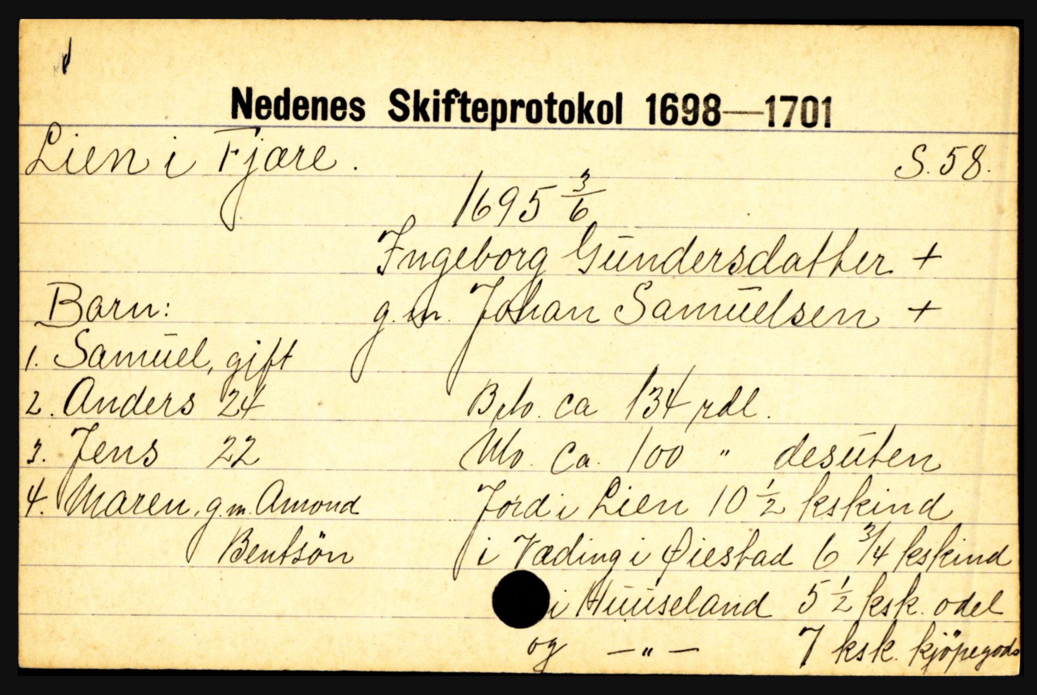 Nedenes sorenskriveri før 1824, AV/SAK-1221-0007/H, p. 17301