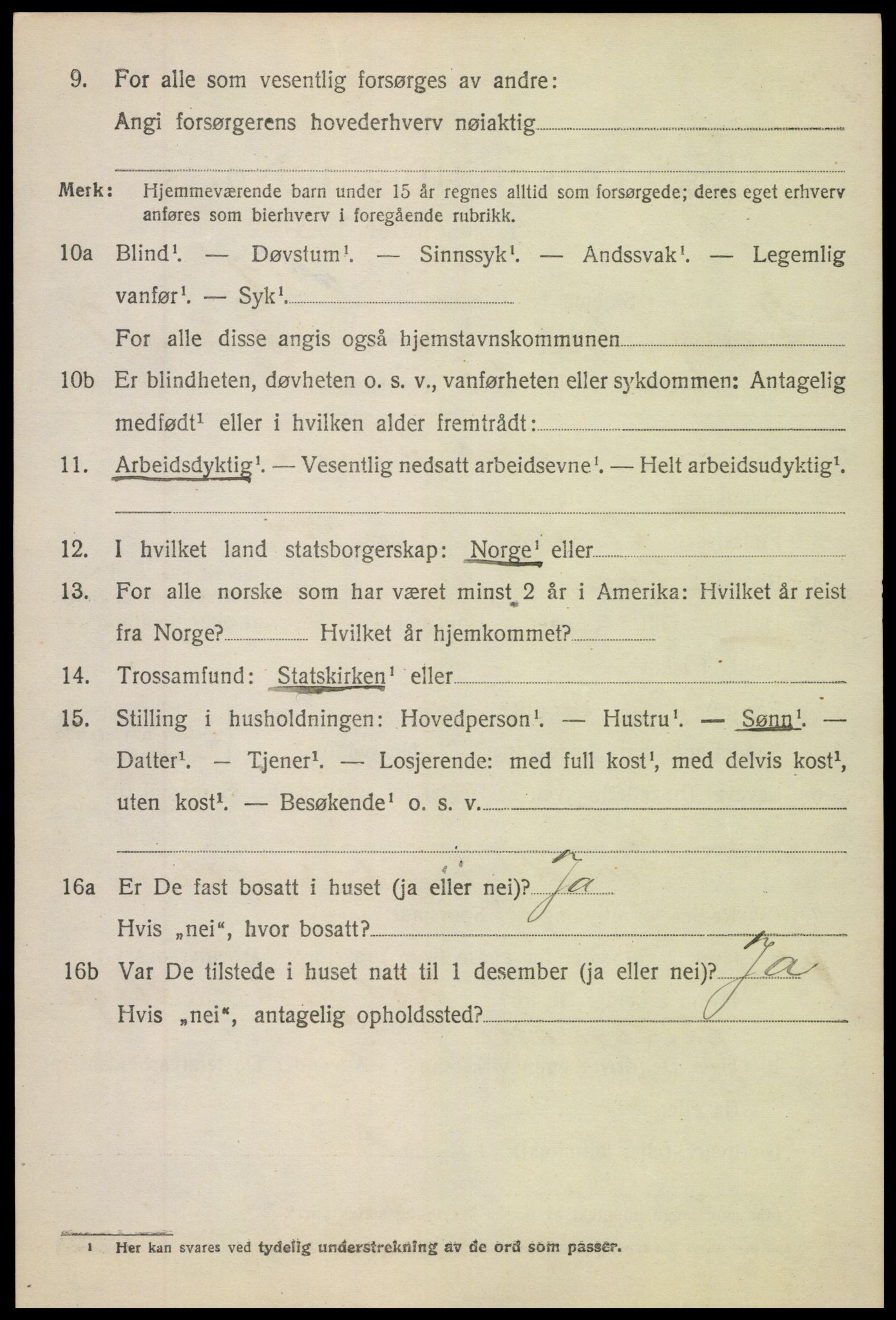 SAH, 1920 census for Vang (Oppland), 1920, p. 3376