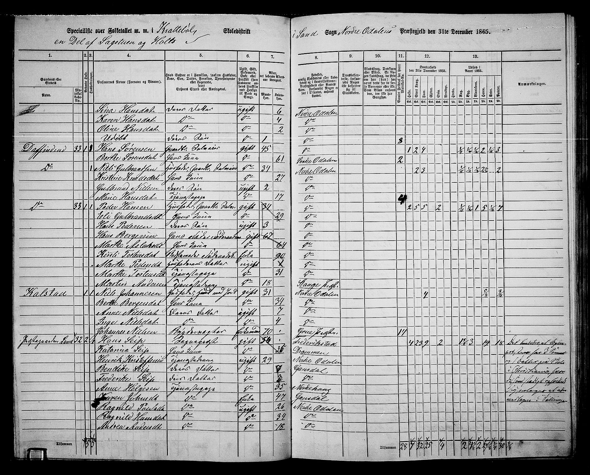 RA, 1865 census for Nord-Odal, 1865, p. 82