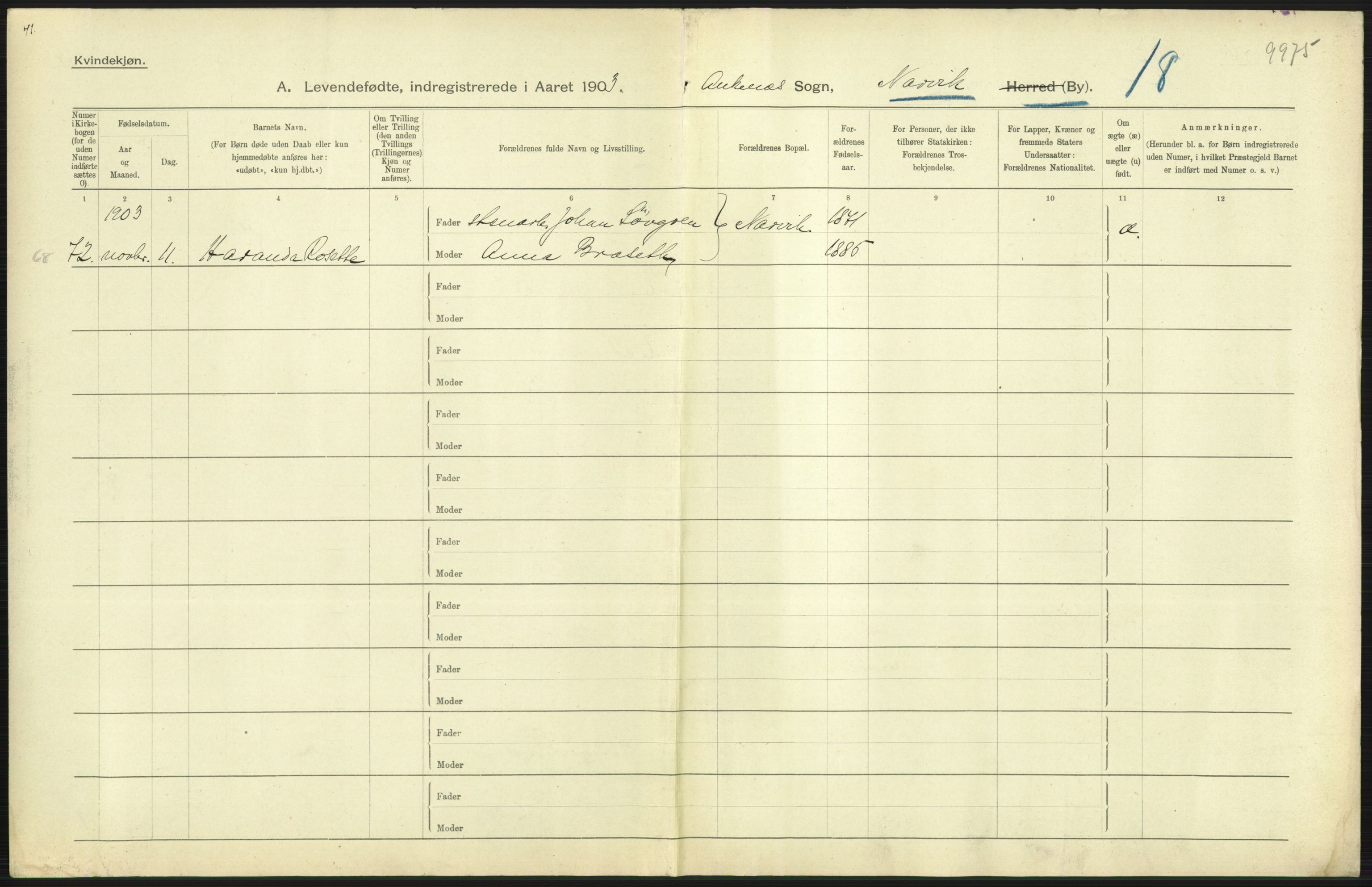 Statistisk sentralbyrå, Sosiodemografiske emner, Befolkning, AV/RA-S-2228/D/Df/Dfa/Dfaa/L0019: Nordlands amt: Fødte, gifte, døde., 1903, p. 41