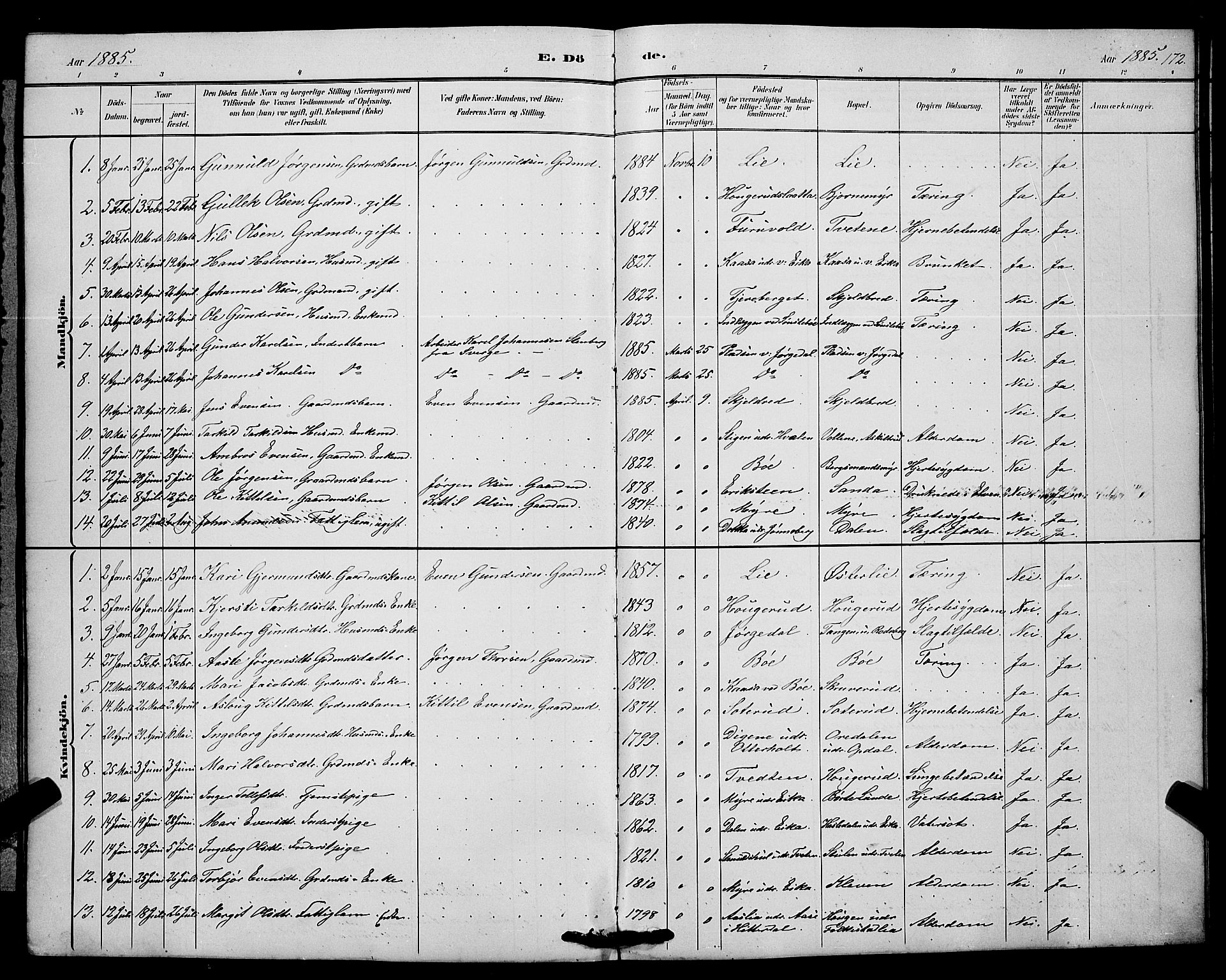 Bø kirkebøker, SAKO/A-257/G/Ga/L0005: Parish register (copy) no. 5, 1883-1897, p. 172