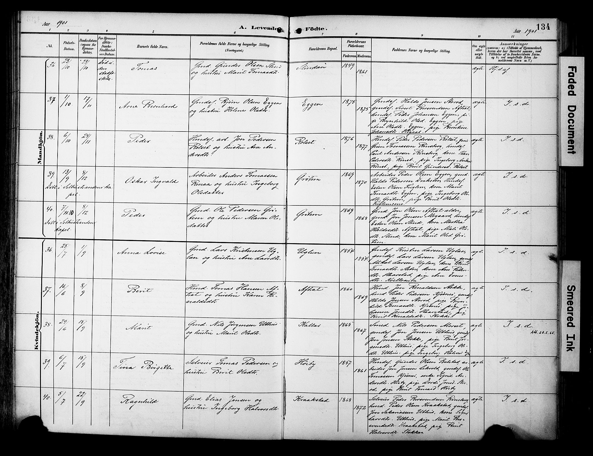 Ministerialprotokoller, klokkerbøker og fødselsregistre - Sør-Trøndelag, AV/SAT-A-1456/695/L1149: Parish register (official) no. 695A09, 1891-1902, p. 134