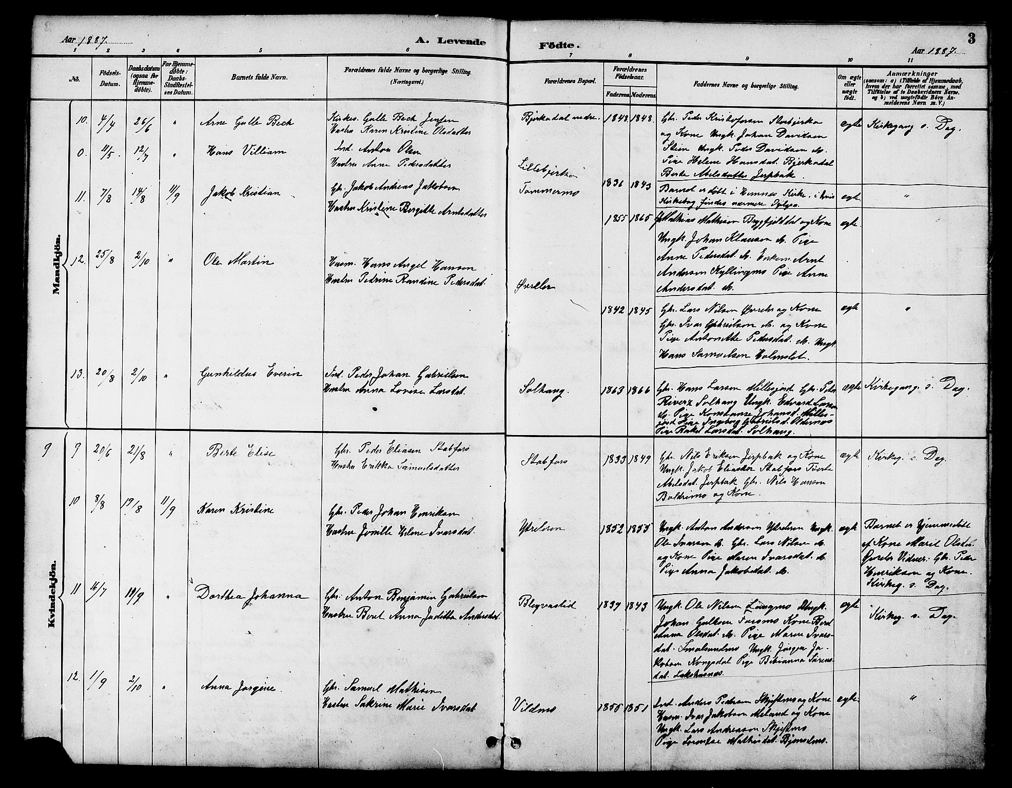 Ministerialprotokoller, klokkerbøker og fødselsregistre - Nordland, AV/SAT-A-1459/826/L0383: Parish register (copy) no. 826C03, 1887-1896, p. 3