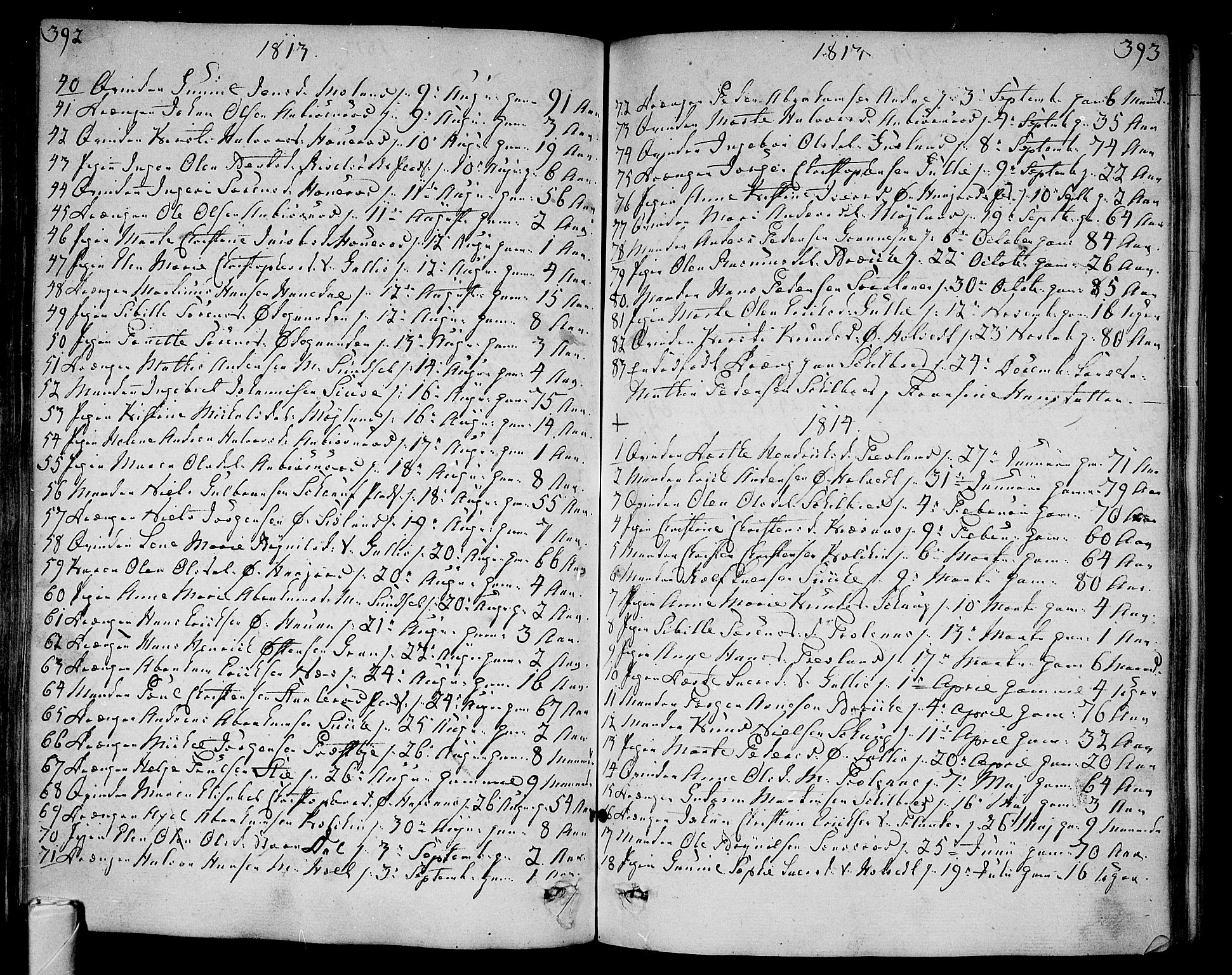 Andebu kirkebøker, AV/SAKO-A-336/F/Fa/L0003: Parish register (official) no. 3 /1, 1803-1828, p. 392-393