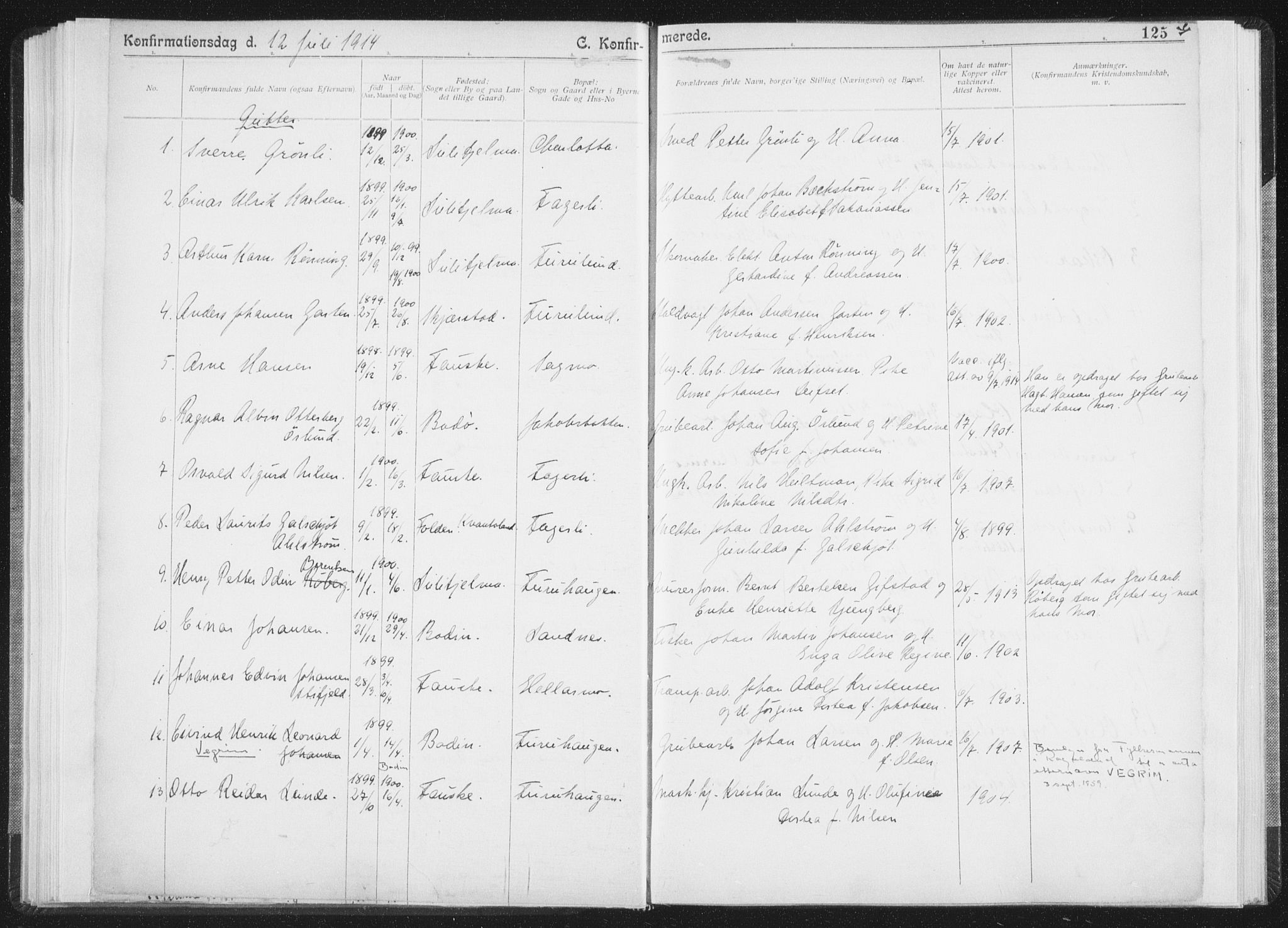 Ministerialprotokoller, klokkerbøker og fødselsregistre - Nordland, SAT/A-1459/850/L0711: Curate's parish register no. 850B01, 1902-1915, p. 125