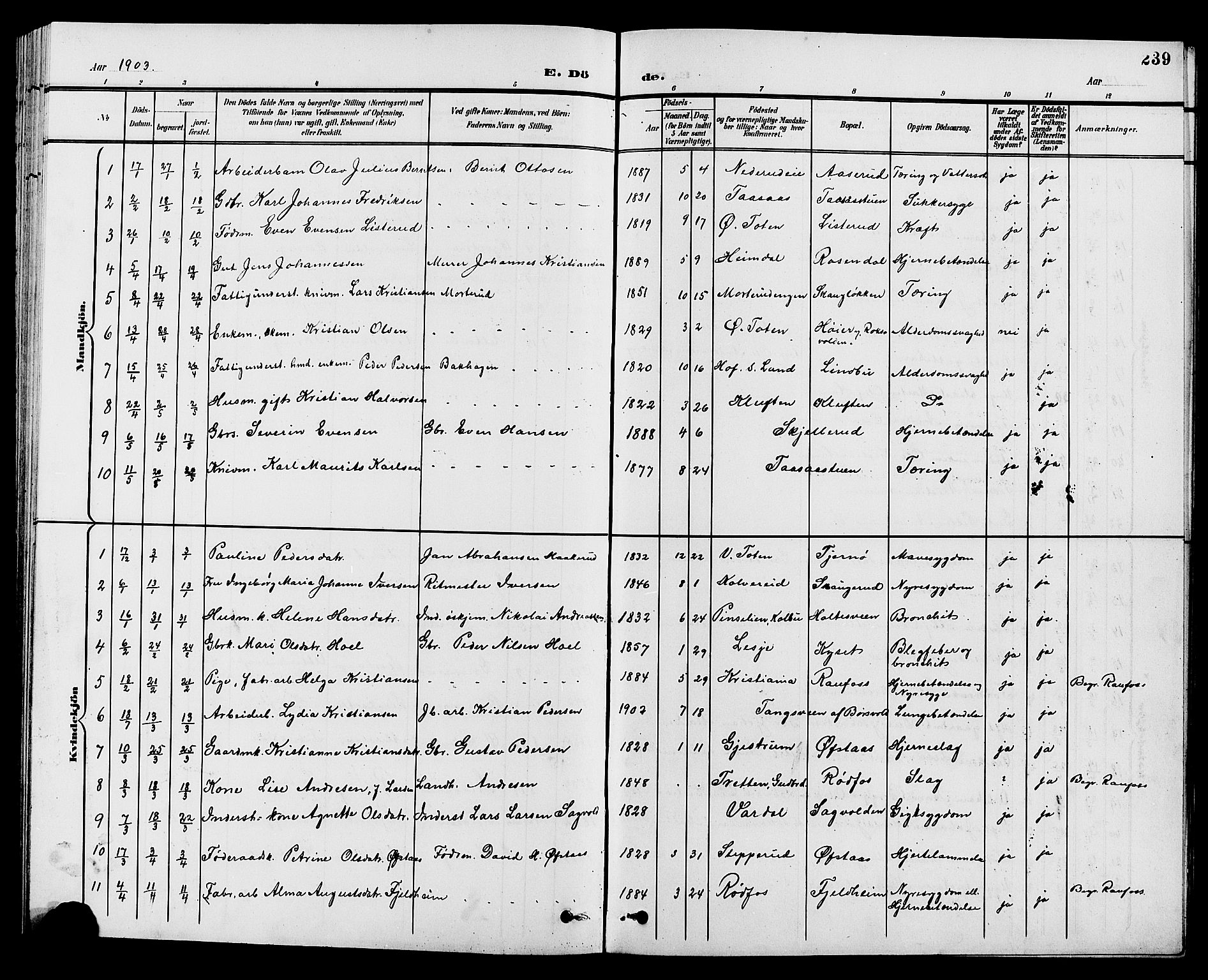 Vestre Toten prestekontor, SAH/PREST-108/H/Ha/Hab/L0010: Parish register (copy) no. 10, 1900-1912, p. 239