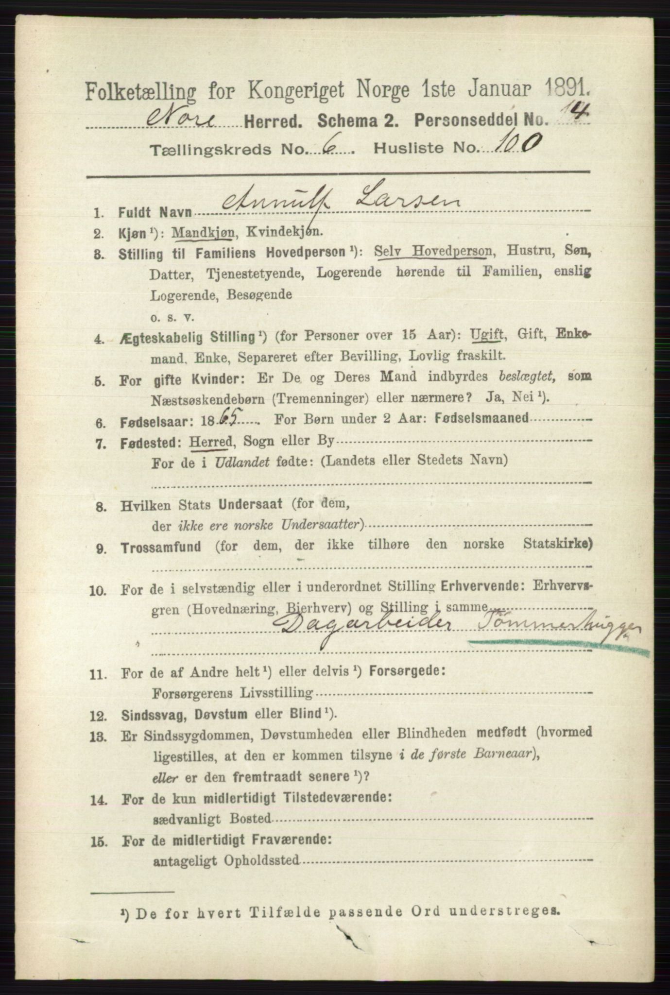 RA, 1891 census for 0633 Nore, 1891, p. 2557