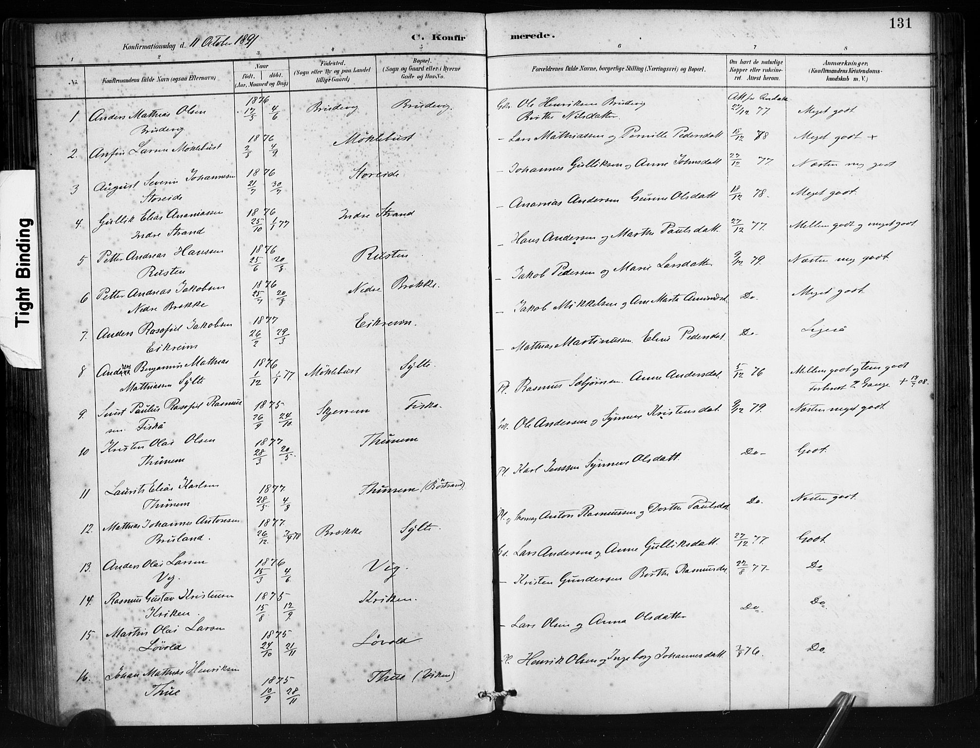 Ministerialprotokoller, klokkerbøker og fødselsregistre - Møre og Romsdal, AV/SAT-A-1454/501/L0008: Parish register (official) no. 501A08, 1885-1901, p. 131