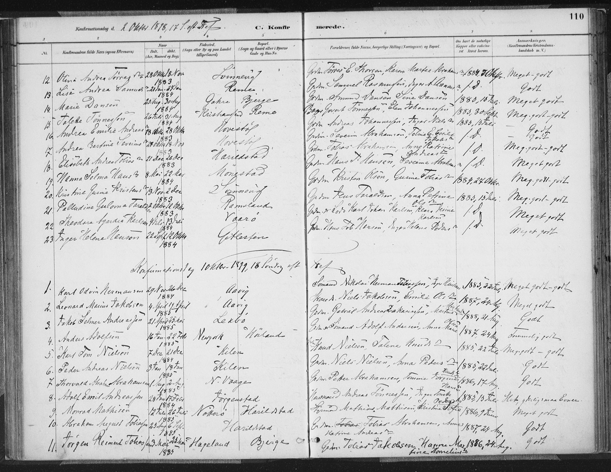 Sør-Audnedal sokneprestkontor, SAK/1111-0039/F/Fa/Faa/L0004: Parish register (official) no. A 4, 1884-1909, p. 110