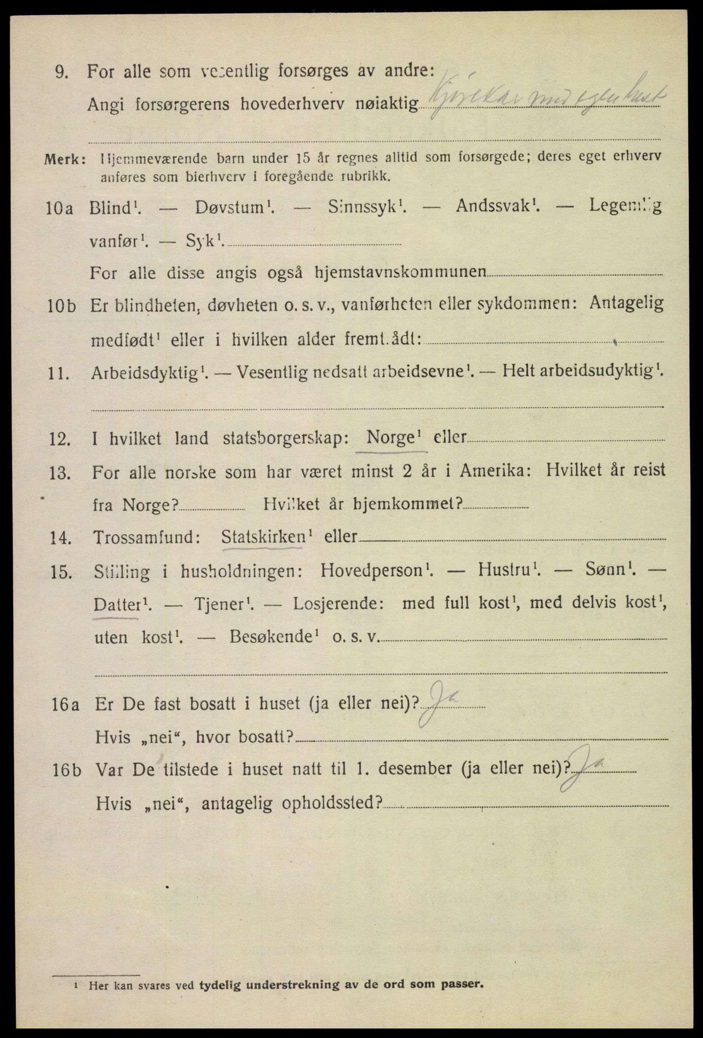 SAH, 1920 census for Vang (Hedmark), 1920, p. 11072