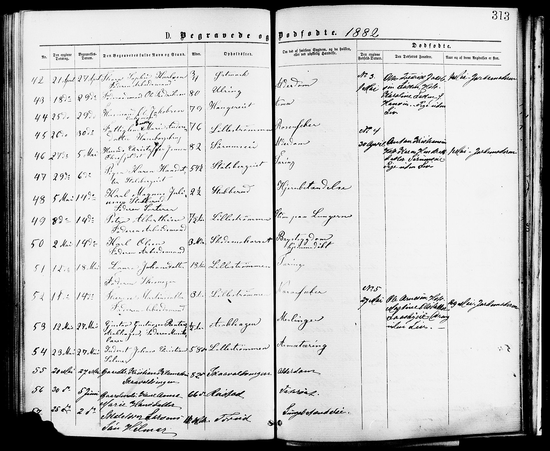 Skedsmo prestekontor Kirkebøker, SAO/A-10033a/F/Fa/L0012: Parish register (official) no. I 12, 1876-1883, p. 313