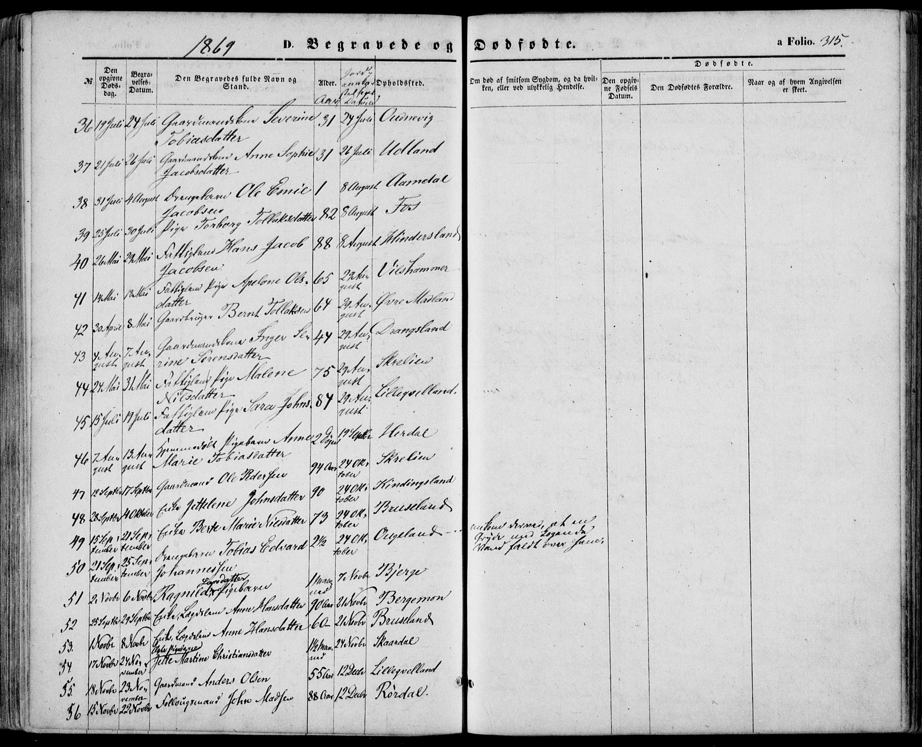 Lyngdal sokneprestkontor, SAK/1111-0029/F/Fa/Fac/L0010: Parish register (official) no. A 10, 1865-1878, p. 315