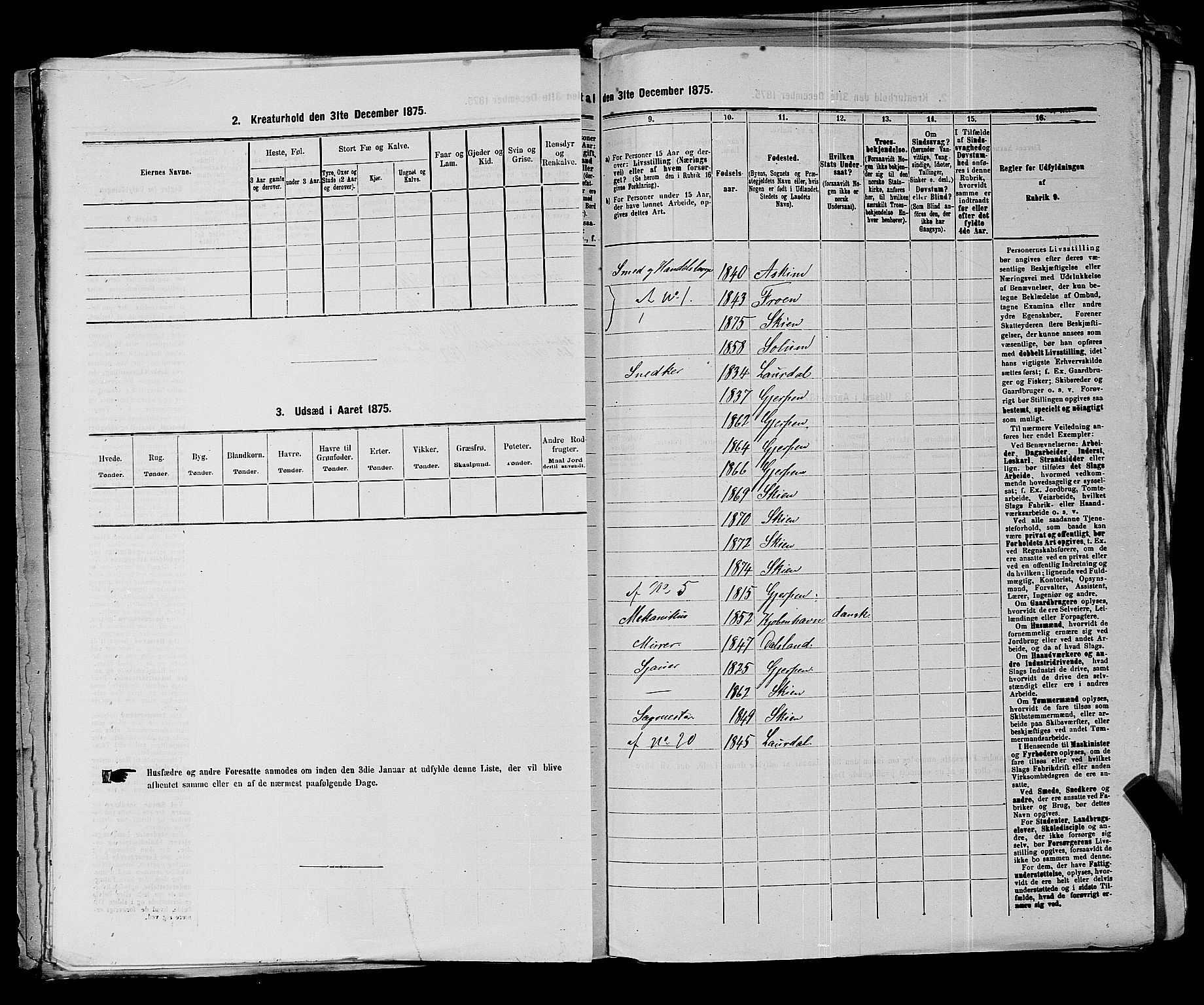 SAKO, 1875 census for 0806P Skien, 1875, p. 1050