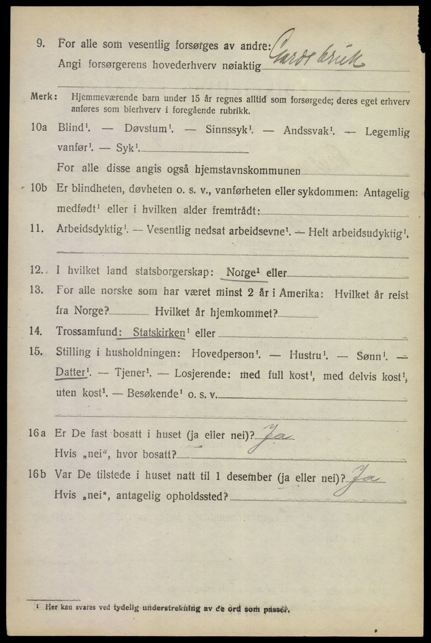 SAKO, 1920 census for Rauland, 1920, p. 1017