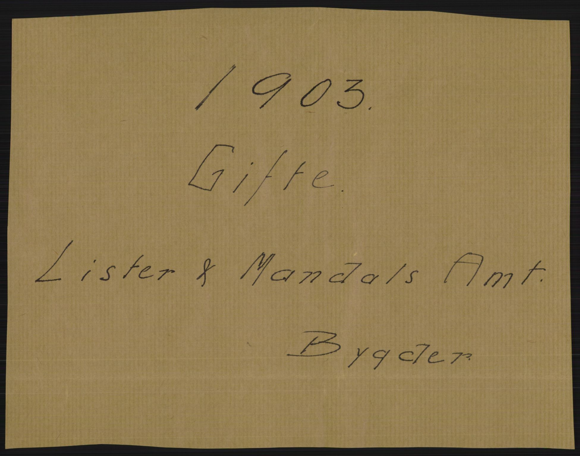 Statistisk sentralbyrå, Sosiodemografiske emner, Befolkning, AV/RA-S-2228/D/Df/Dfa/Dfaa/L0011: Lister og Mandal amt: Fødte, gifte, døde, 1903, p. 273