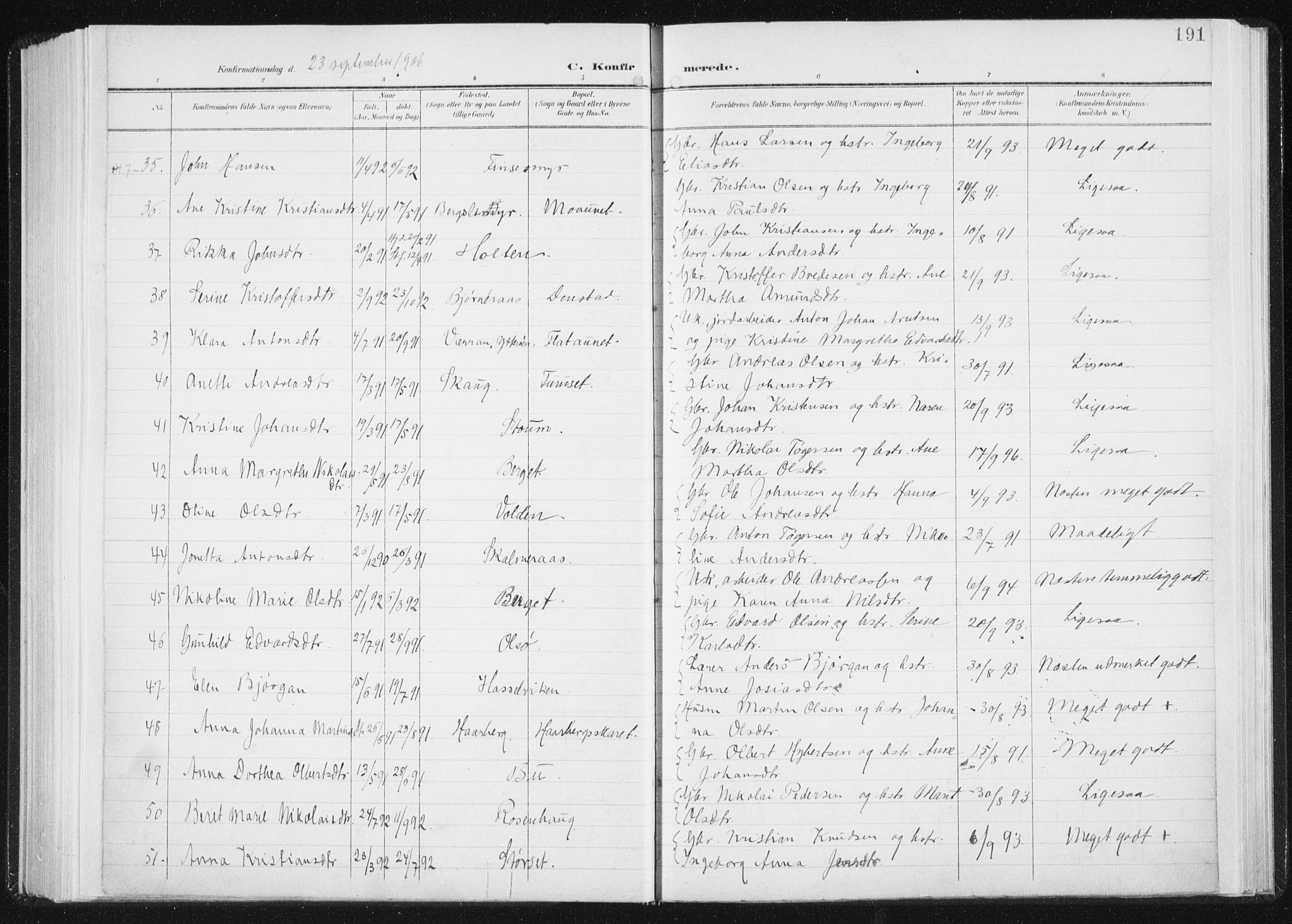 Ministerialprotokoller, klokkerbøker og fødselsregistre - Sør-Trøndelag, AV/SAT-A-1456/647/L0635: Parish register (official) no. 647A02, 1896-1911, p. 191