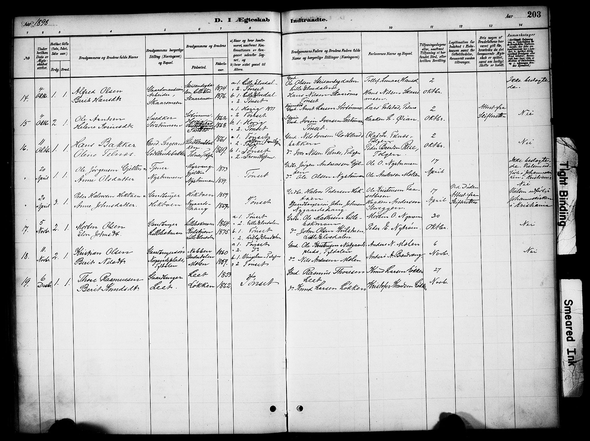 Tynset prestekontor, AV/SAH-PREST-058/H/Ha/Hab/L0006: Parish register (copy) no. 6, 1880-1899, p. 203